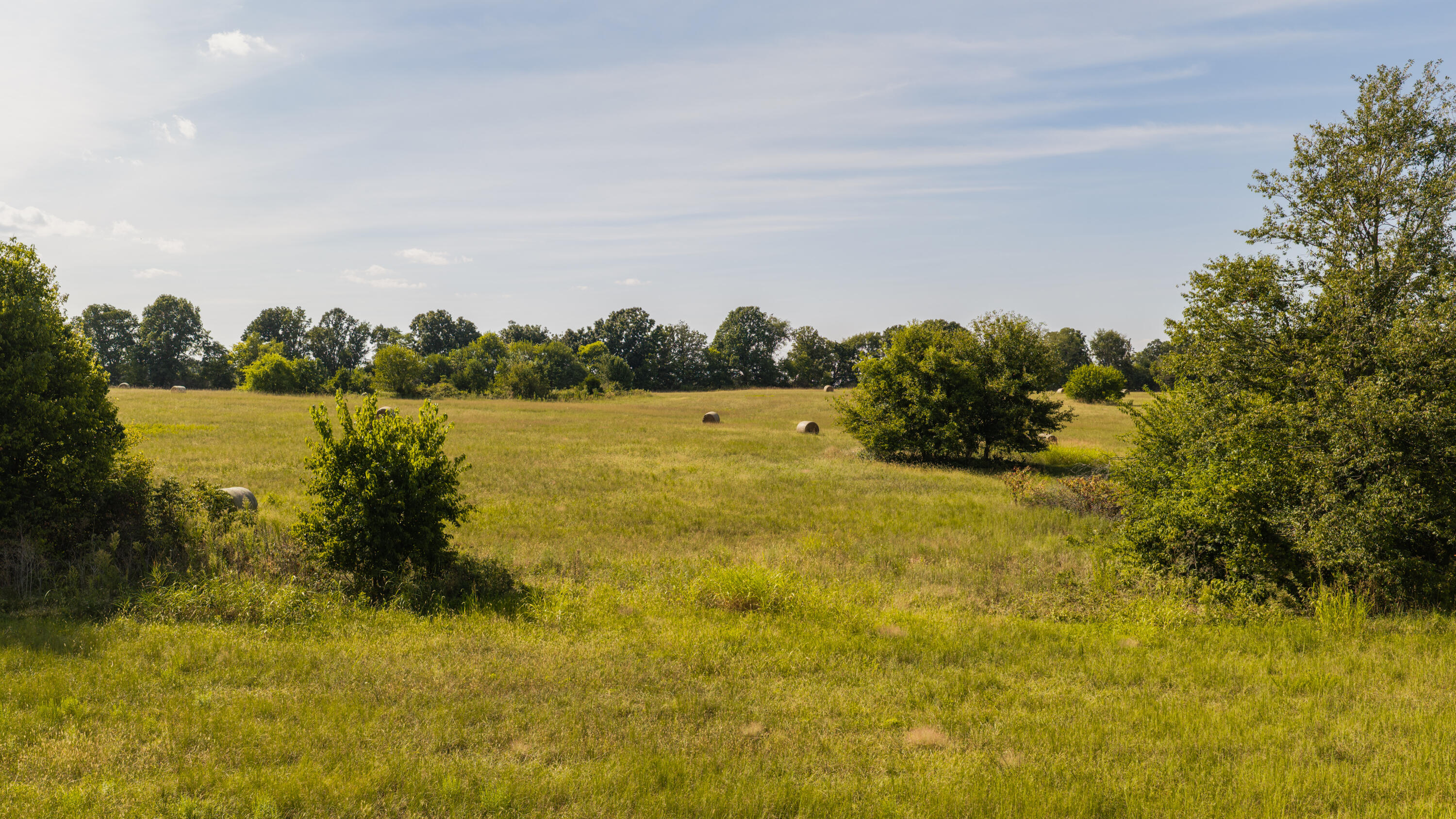 Photo 14 - Land for sale – 000 S Farm Rd 67   Republic, MO