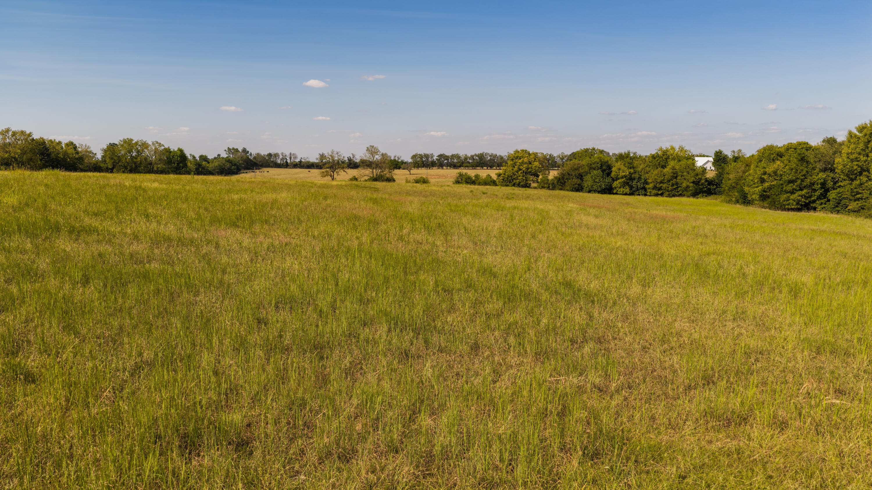 Photo 33 - Land for sale – 000 S Farm Rd 67   Republic, MO