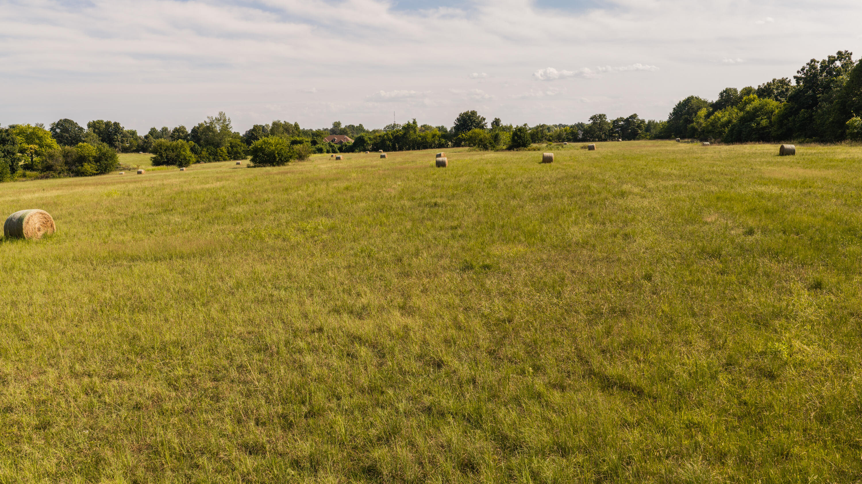 Photo 36 - Land for sale – 000 S Farm Rd 67   Republic, MO