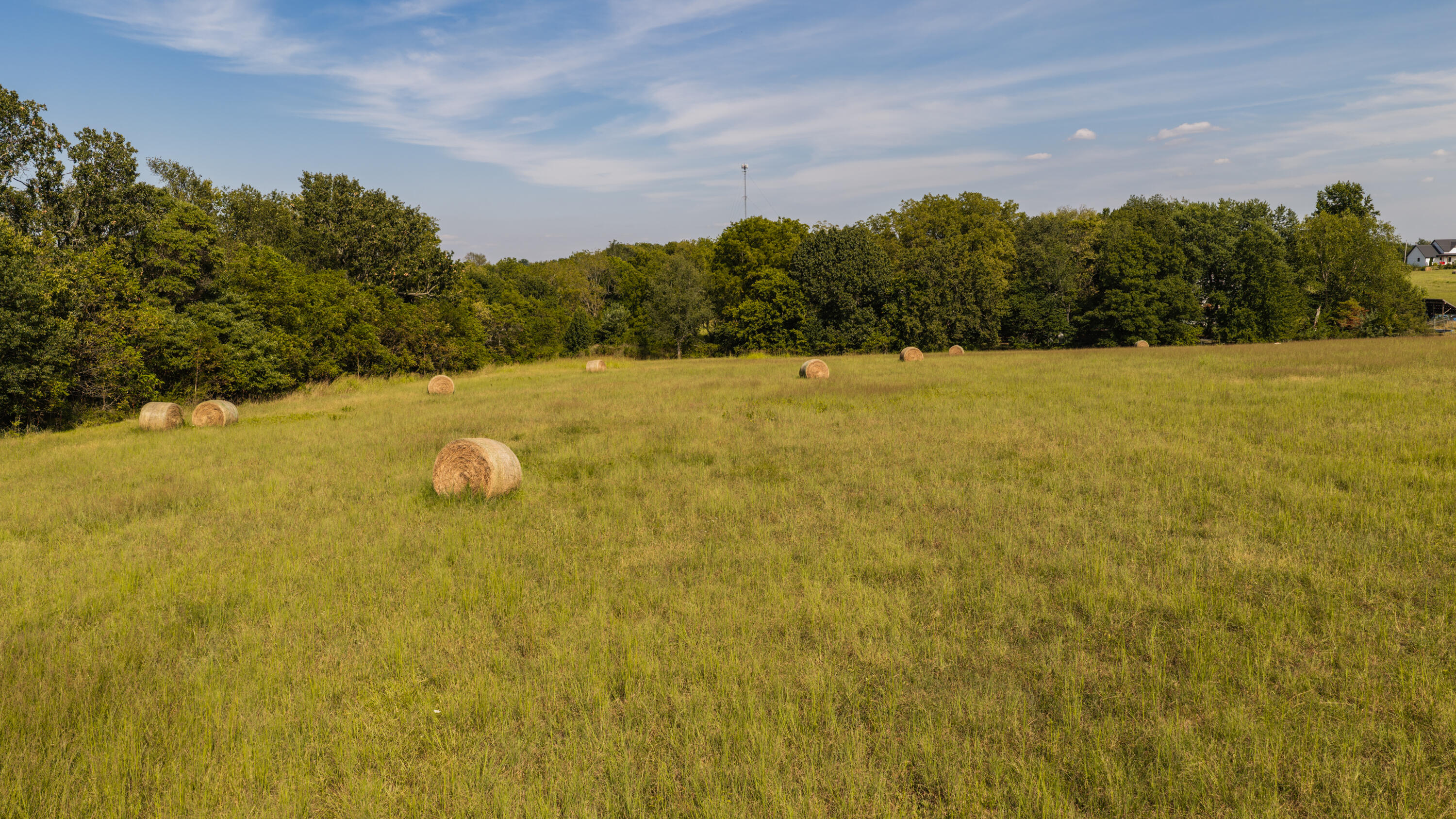 Photo 37 - Land for sale – 000 S Farm Rd 67   Republic, MO
