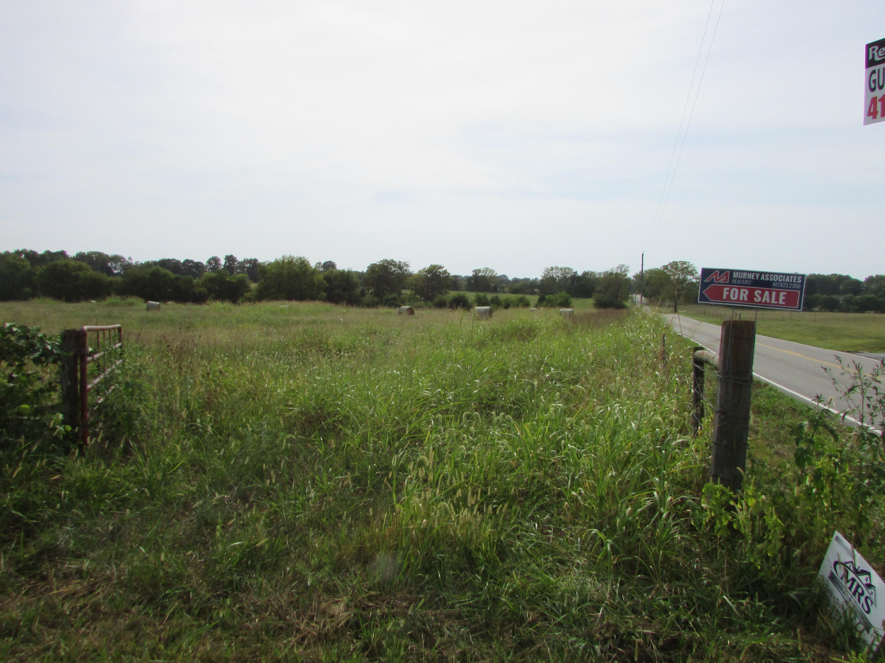Photo 11 - Land for sale – 000 S Farm Rd 67   Republic, MO