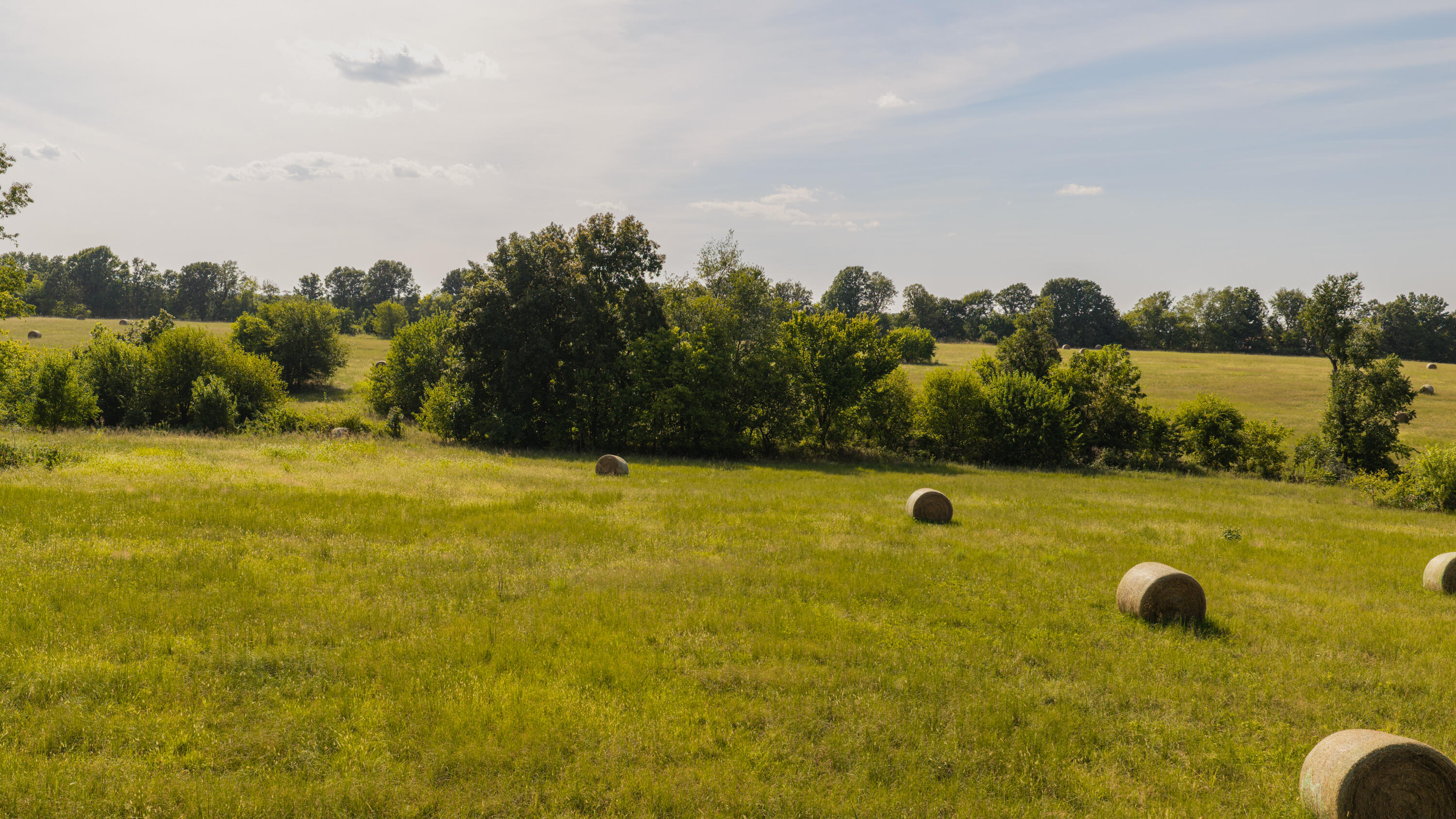 Photo 39 - Land for sale – 000 S Farm Rd 67   Republic, MO