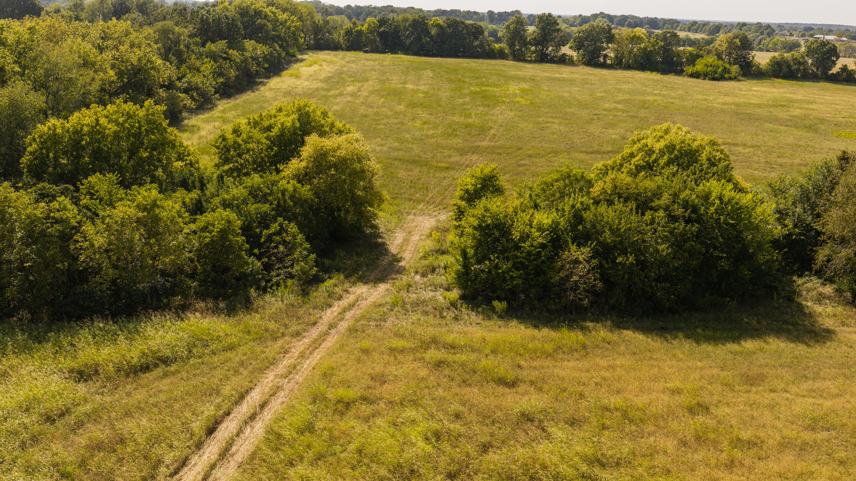 Photo 32 - Land for sale – 000 S Farm Rd 67   Republic, MO