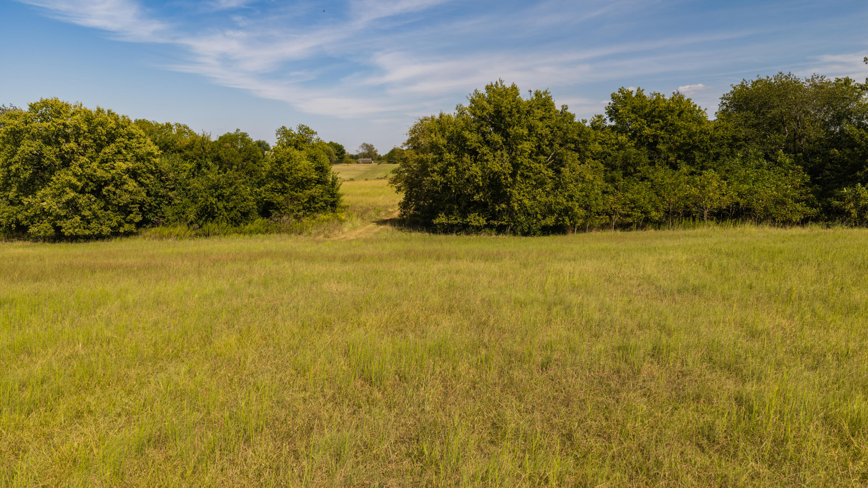 Photo 34 - Land for sale – 000 S Farm Rd 67   Republic, MO
