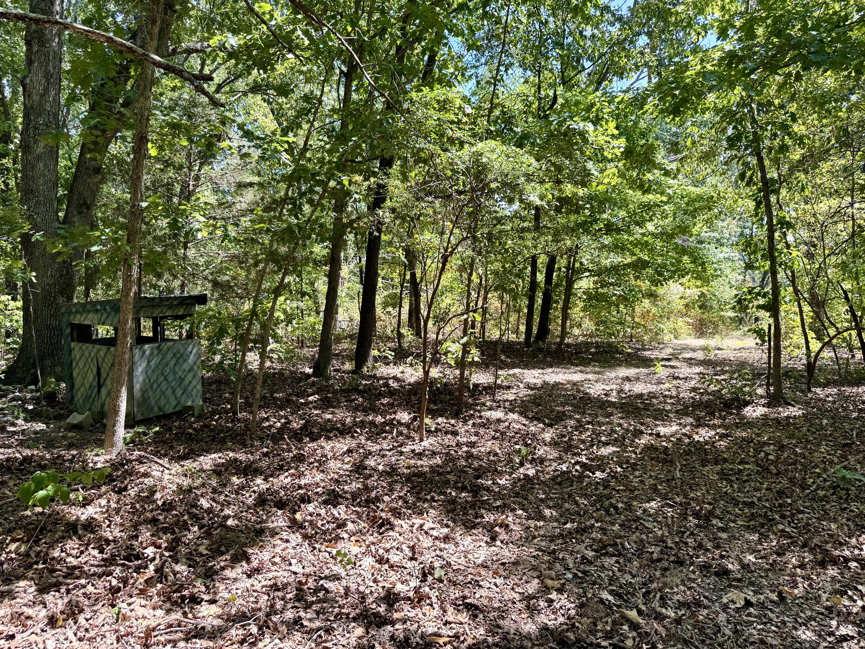 Photo 31 - Farm for sale – 2099  Allison Road  Anderson, MO