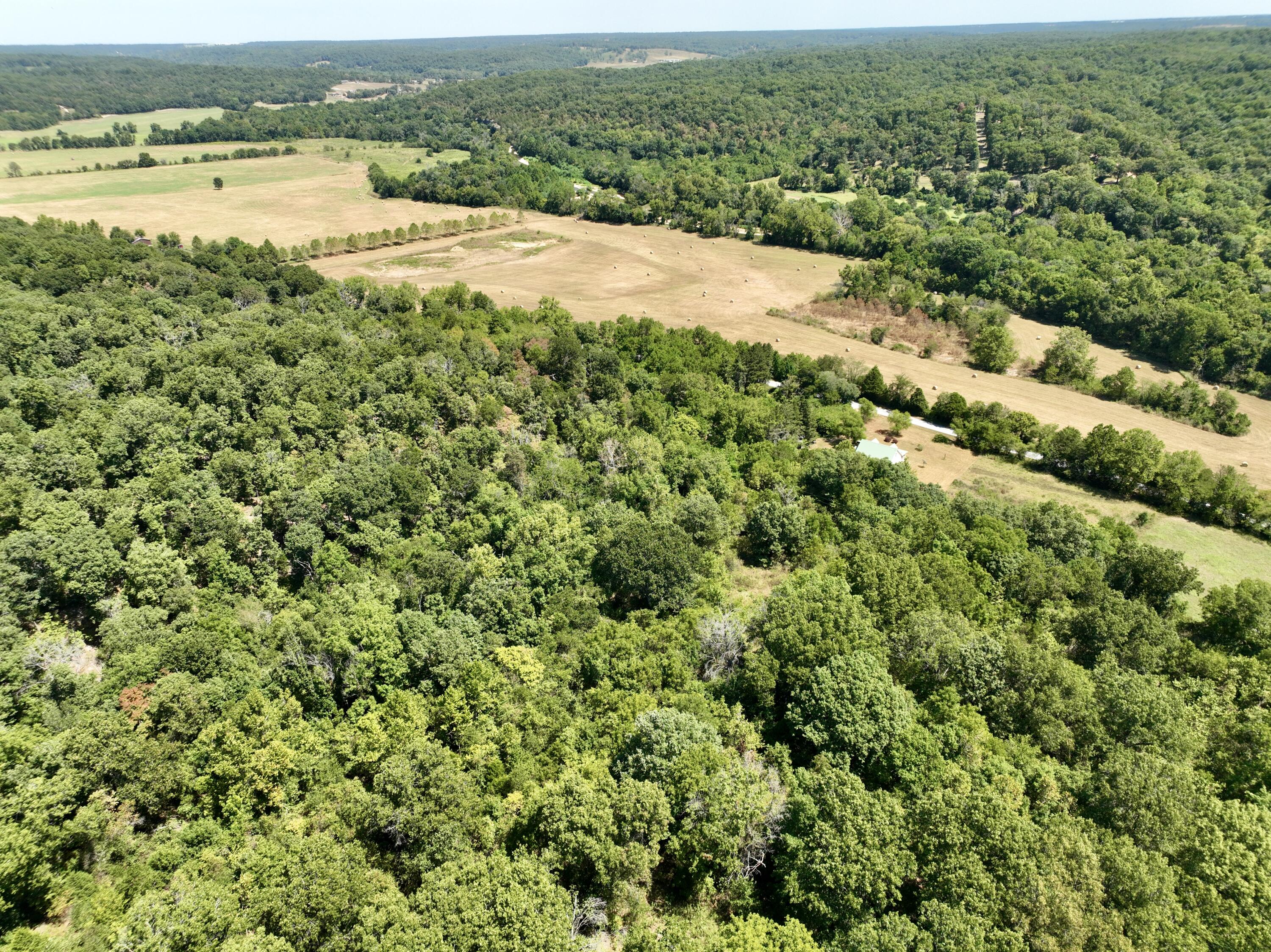 Photo 38 - Farm for sale – 2099  Allison Road  Anderson, MO