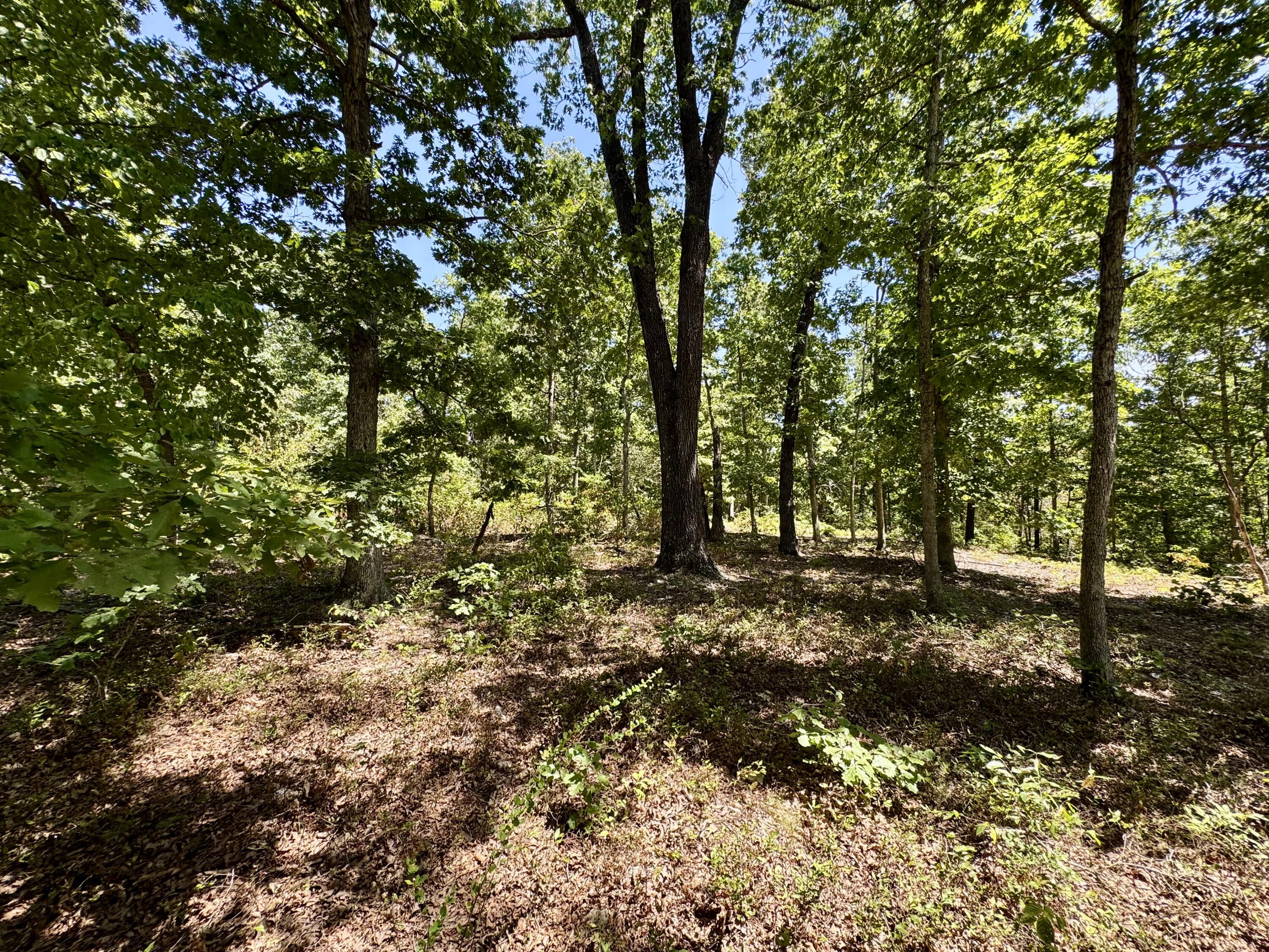Photo 28 - Farm for sale – 2099  Allison Road  Anderson, MO