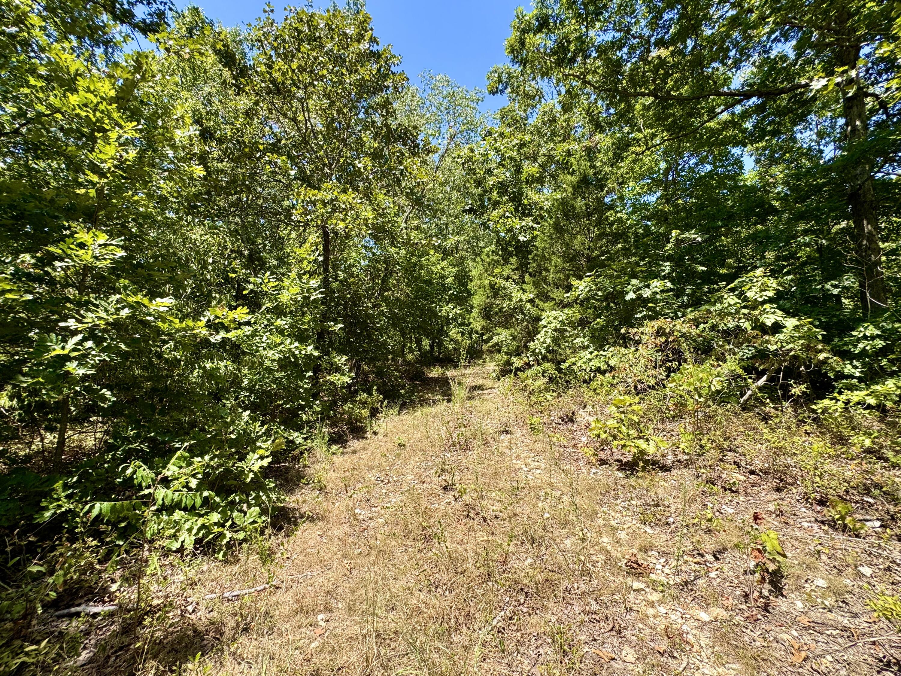 Photo 32 - Farm for sale – 2099  Allison Road  Anderson, MO
