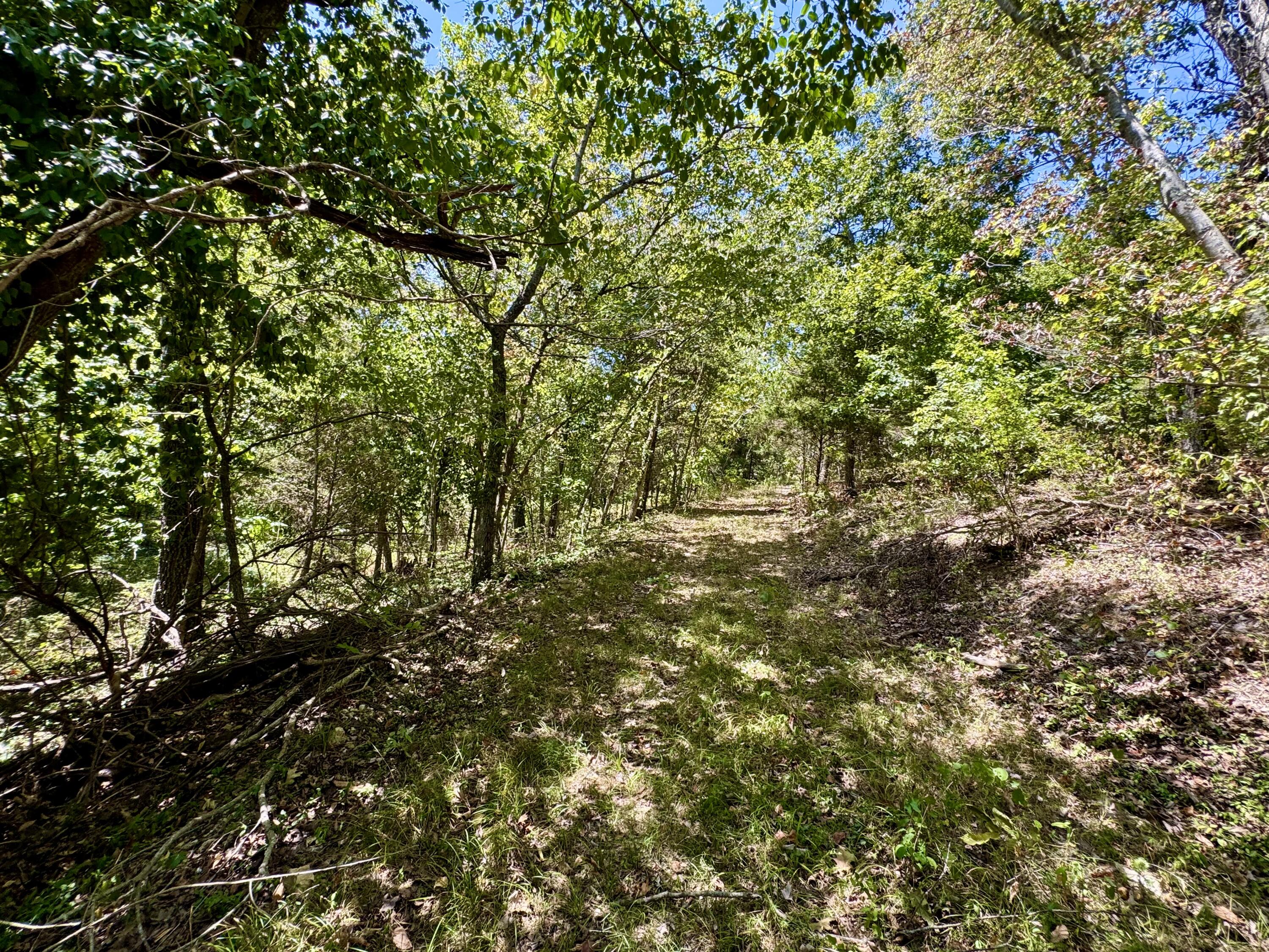 Photo 34 - Farm for sale – 2099  Allison Road  Anderson, MO