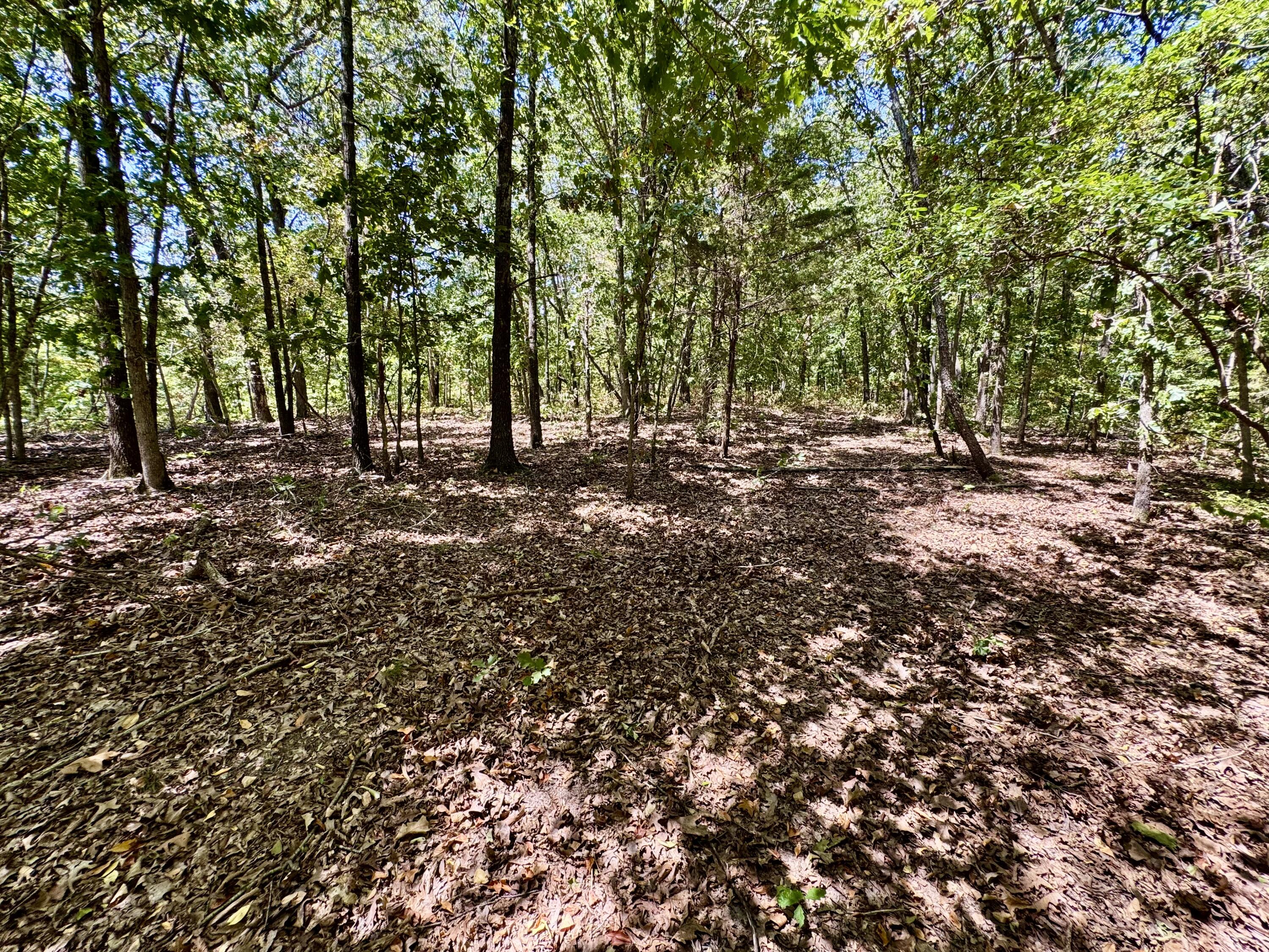 Photo 29 - Farm for sale – 2099  Allison Road  Anderson, MO