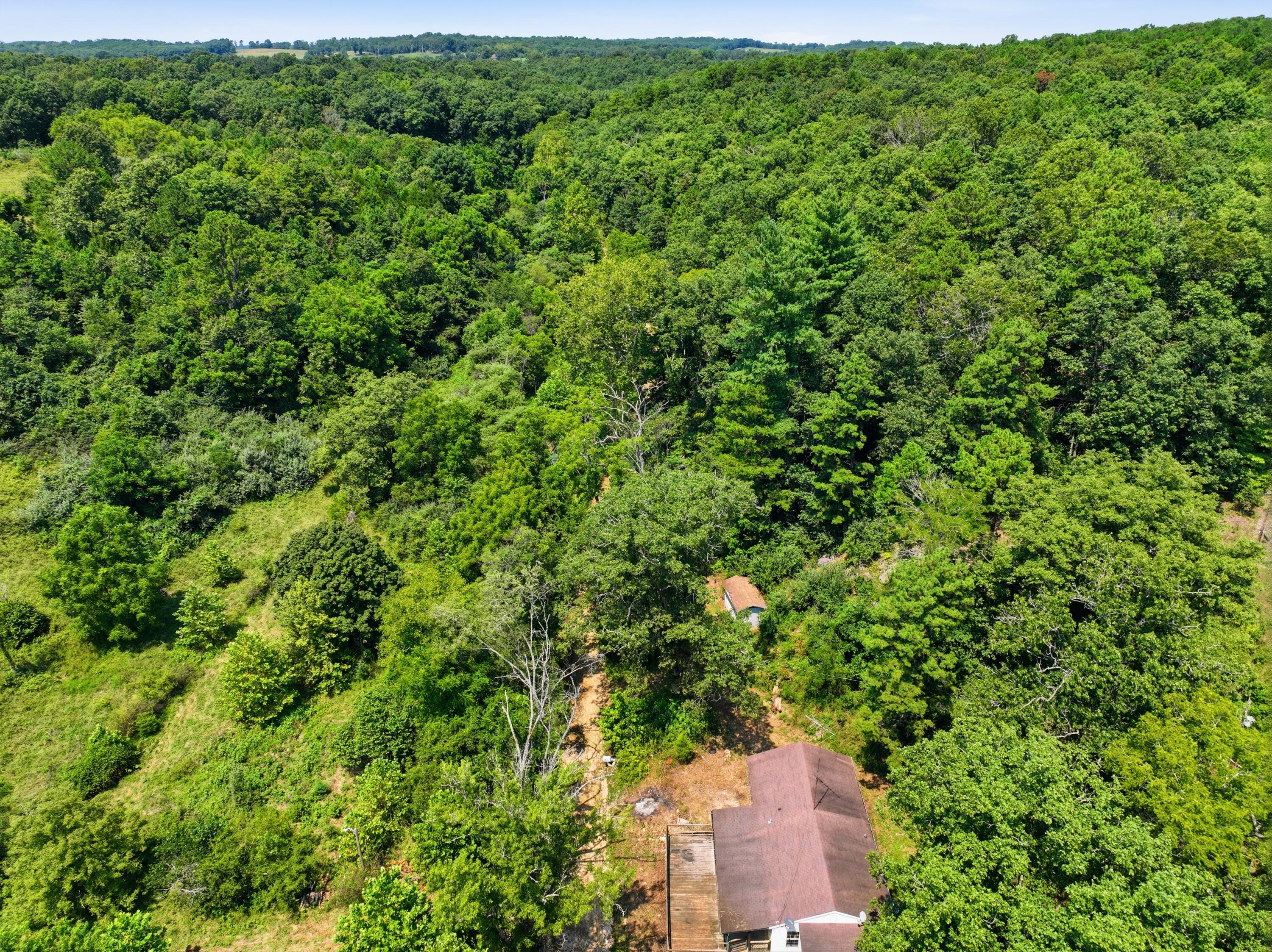 Photo 35 - Residential for sale – 12483  County Road 76-162   Mountain Grove, MO