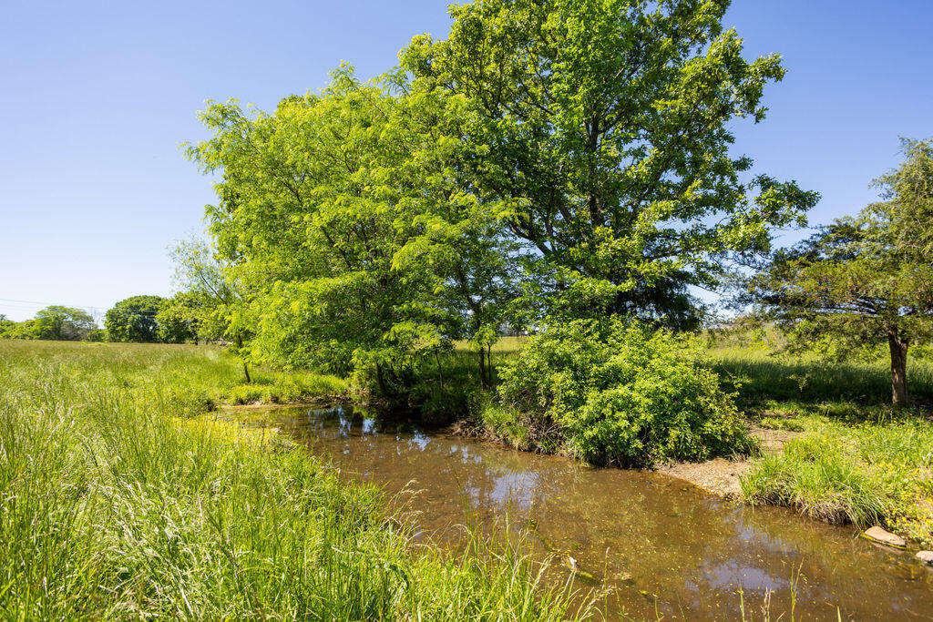 Photo 16 - Land for sale – 000  Highway B   Bolivar, MO
