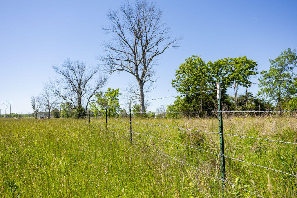 Photo 7 - Land for sale – 000  Highway B   Bolivar, MO