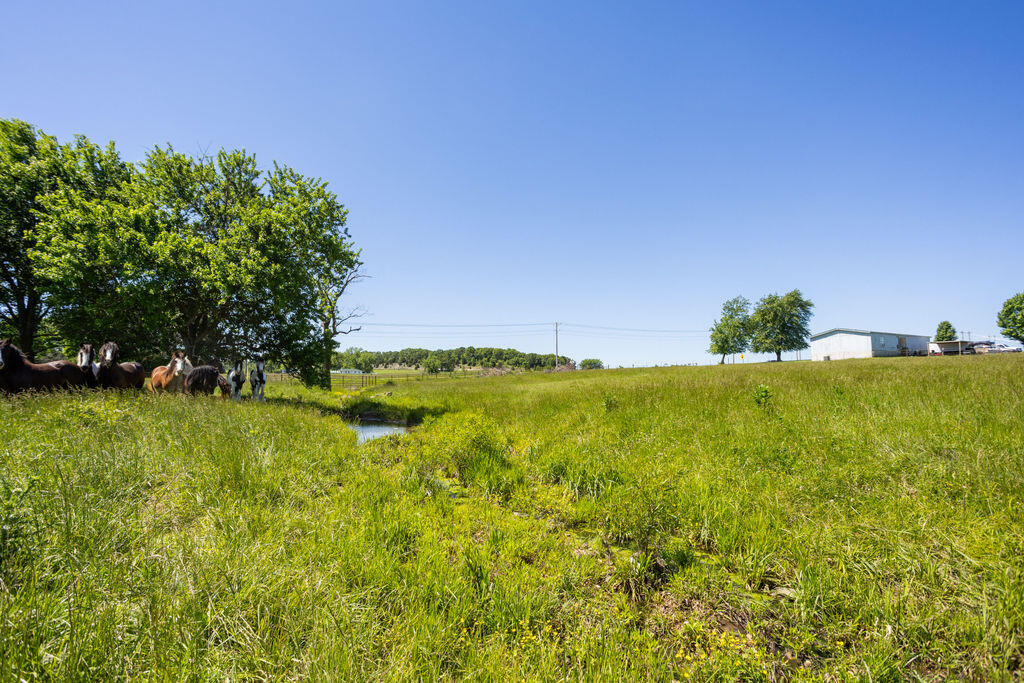 Photo 15 - Land for sale – 000  Highway B   Bolivar, MO