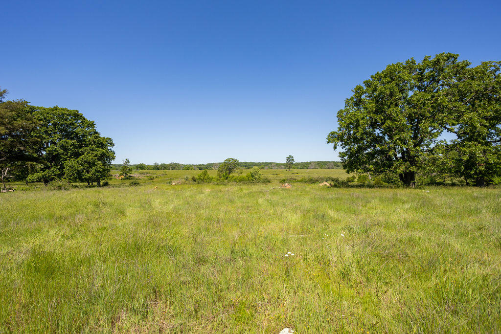 Photo 14 - Land for sale – 000  Highway B   Bolivar, MO