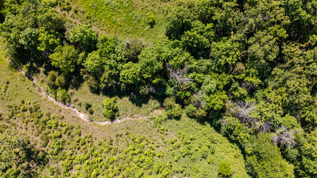 Photo 29 - Land for sale – 000  Highway B   Bolivar, MO