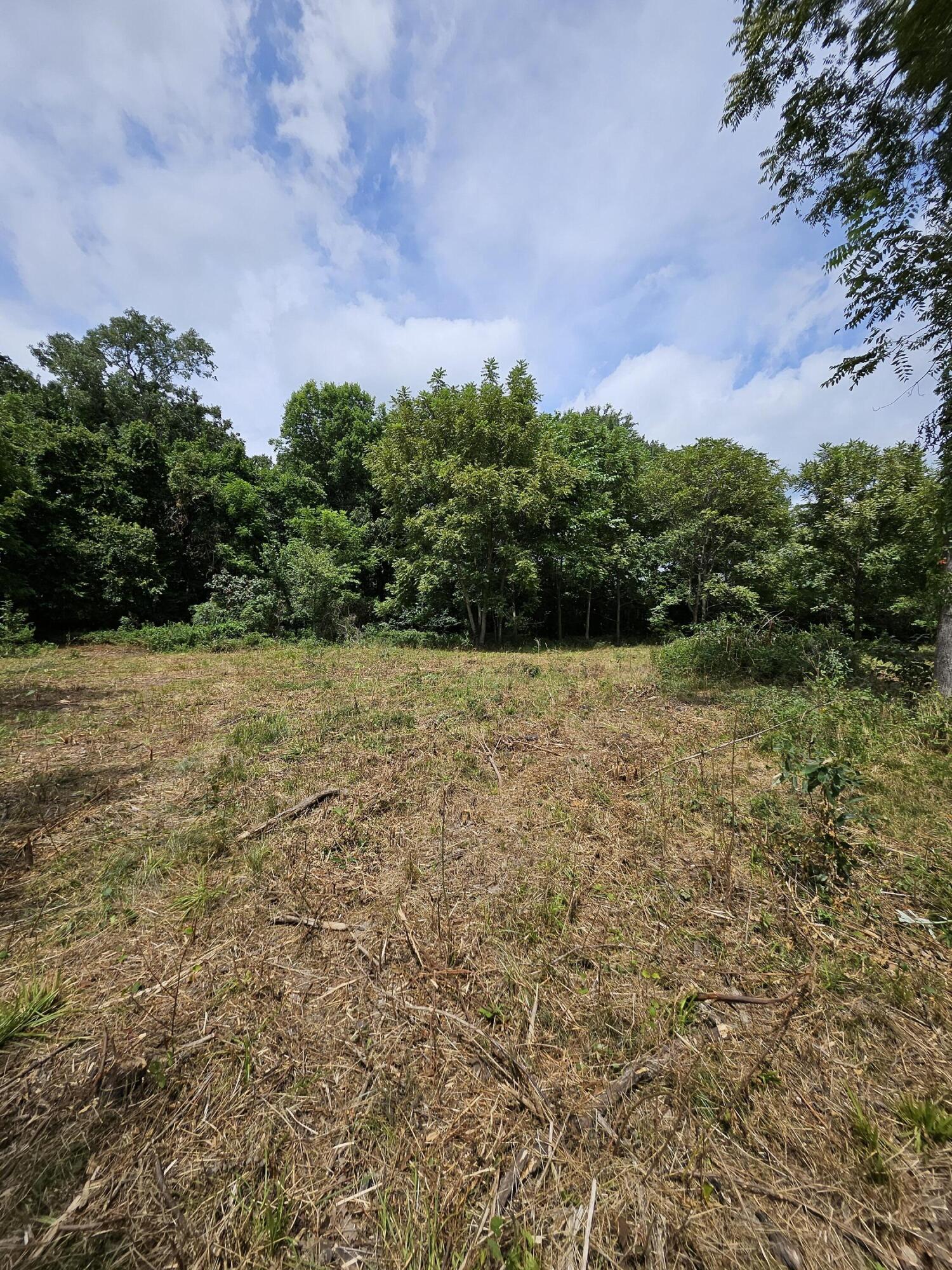 Photo 5 - Land for sale – 000  Settlers Trail Road  Marshfield, MO