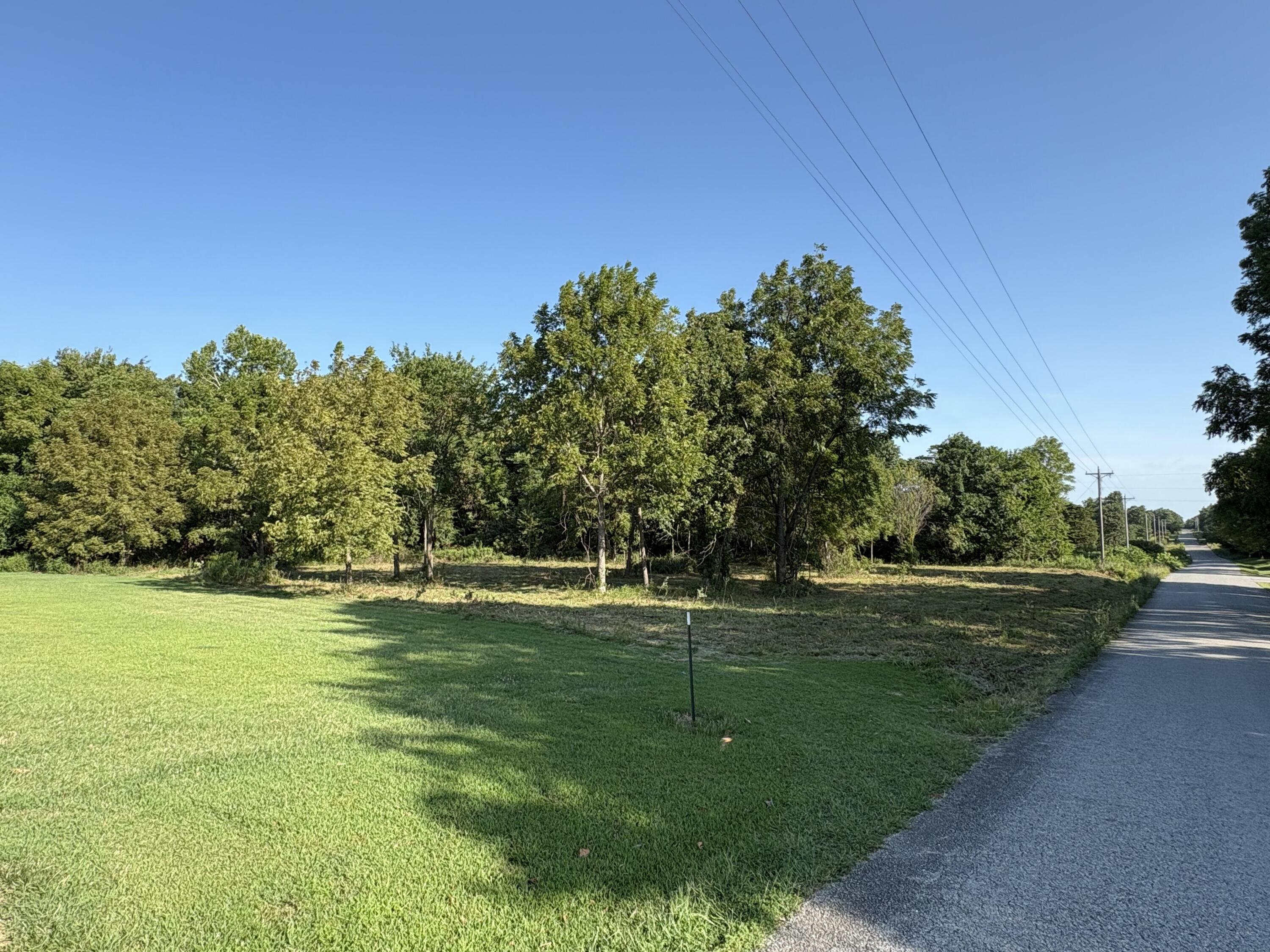 Photo 15 - Land for sale – 000  Settlers Trail Road  Marshfield, MO