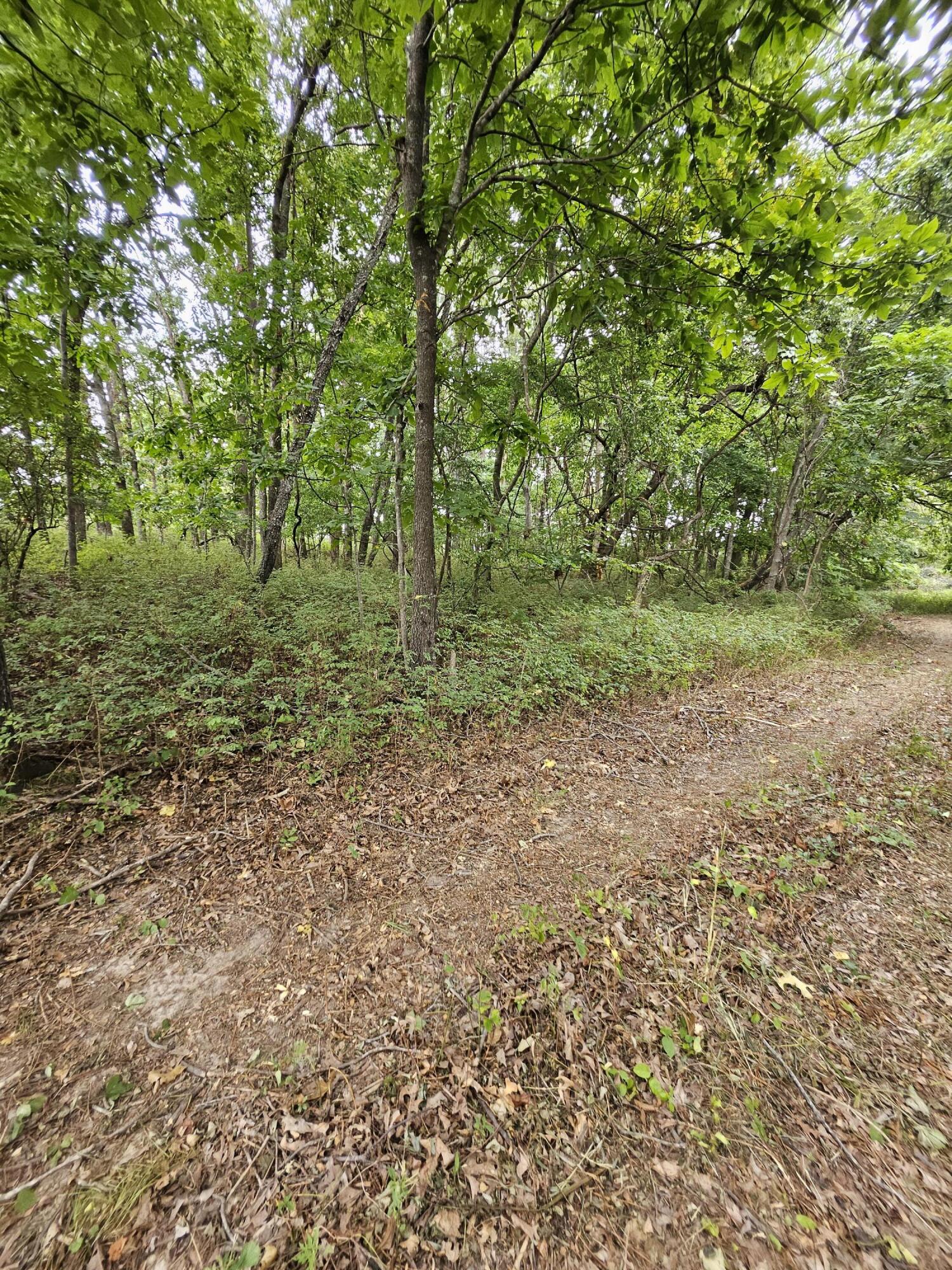 Photo 10 - Land for sale – 000  Settlers Trail Road  Marshfield, MO