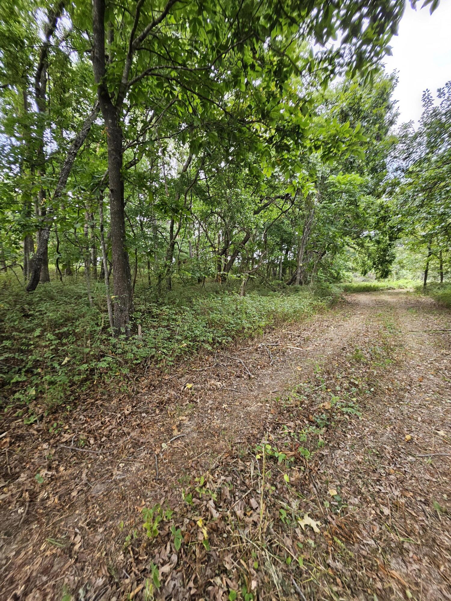 Photo 11 - Land for sale – 000  Settlers Trail Road  Marshfield, MO