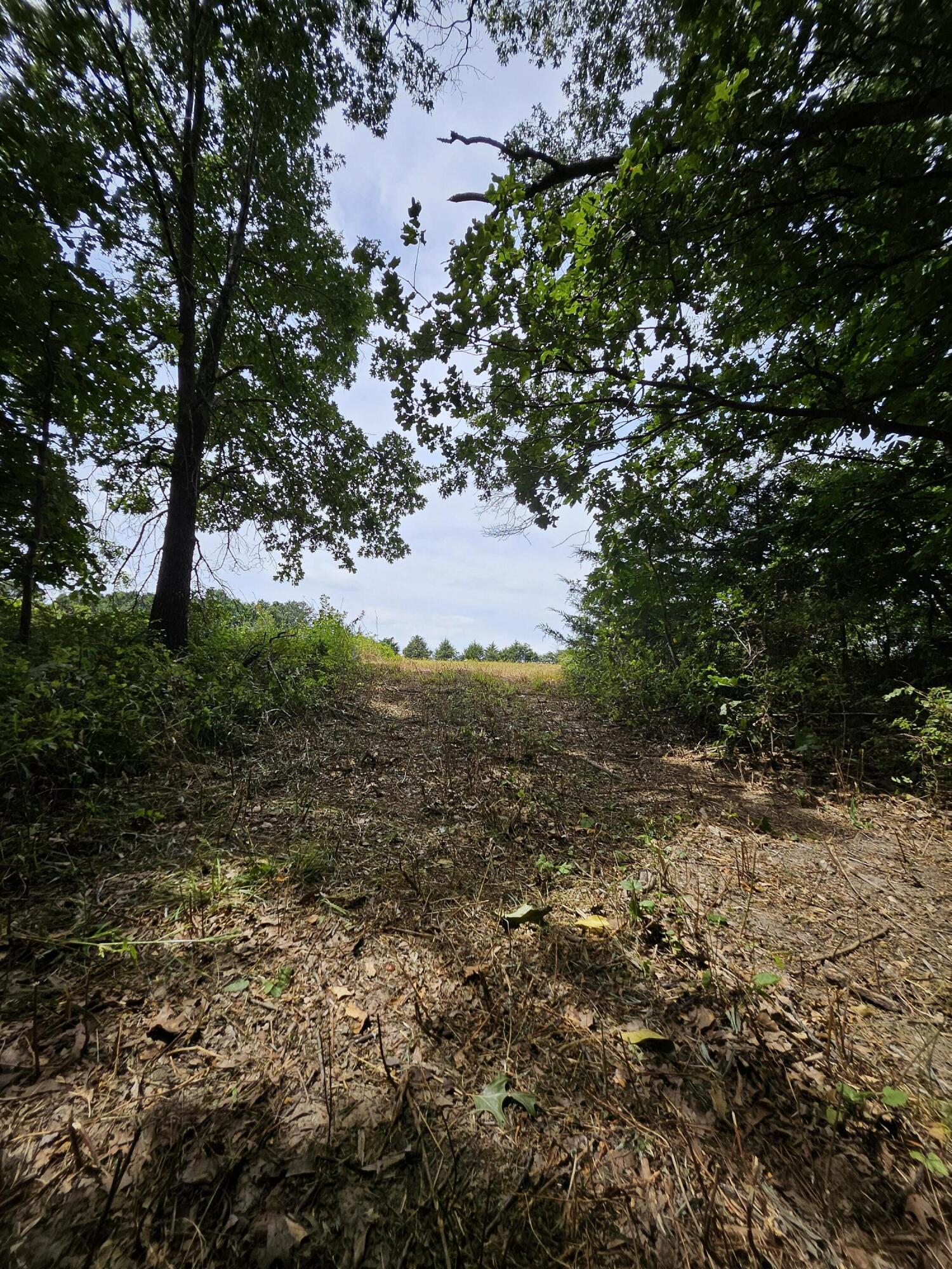 Land for sale – 000  Settlers Trail Road  Marshfield, MO