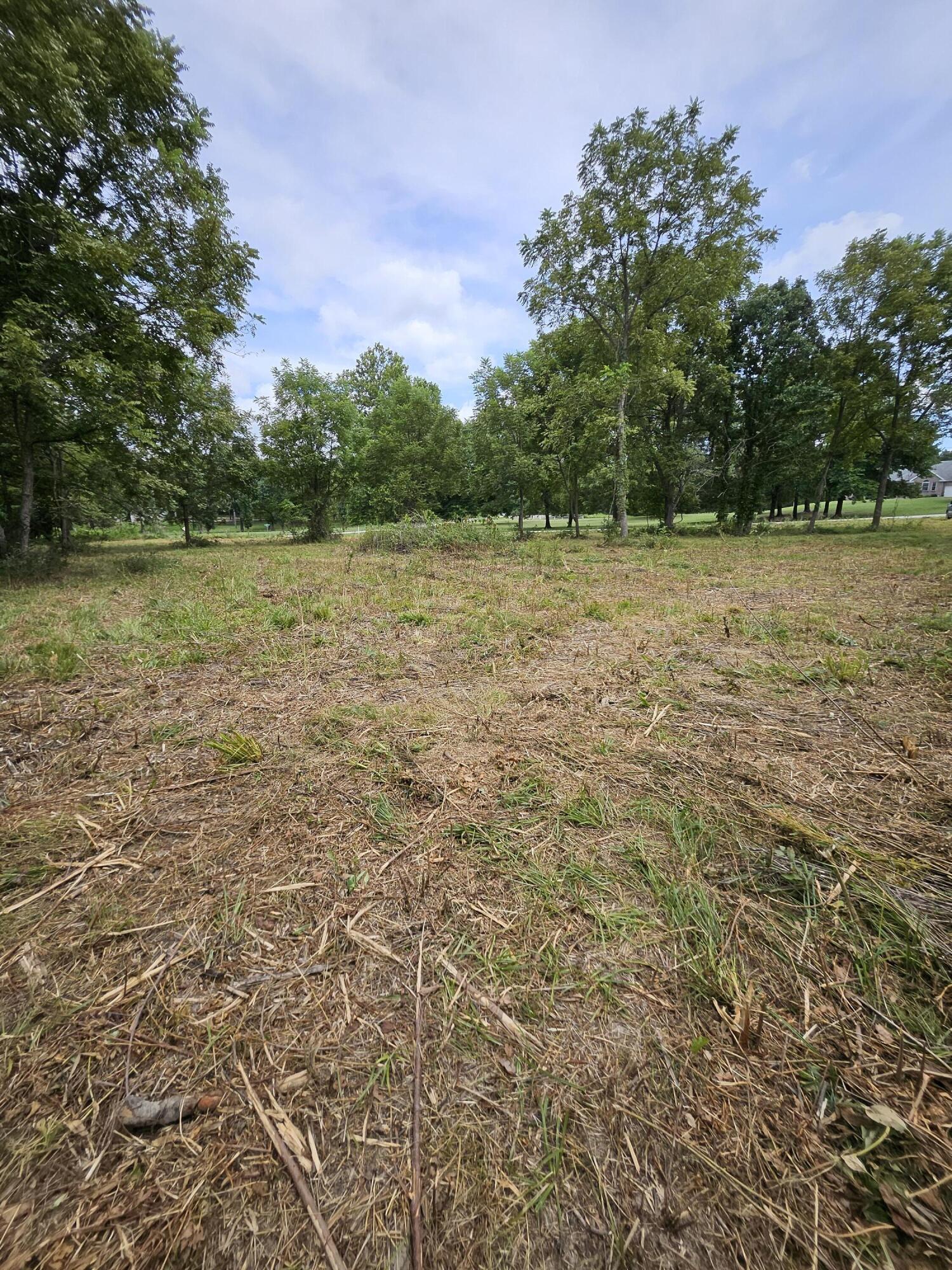 Photo 14 - Land for sale – 000  Settlers Trail Road  Marshfield, MO