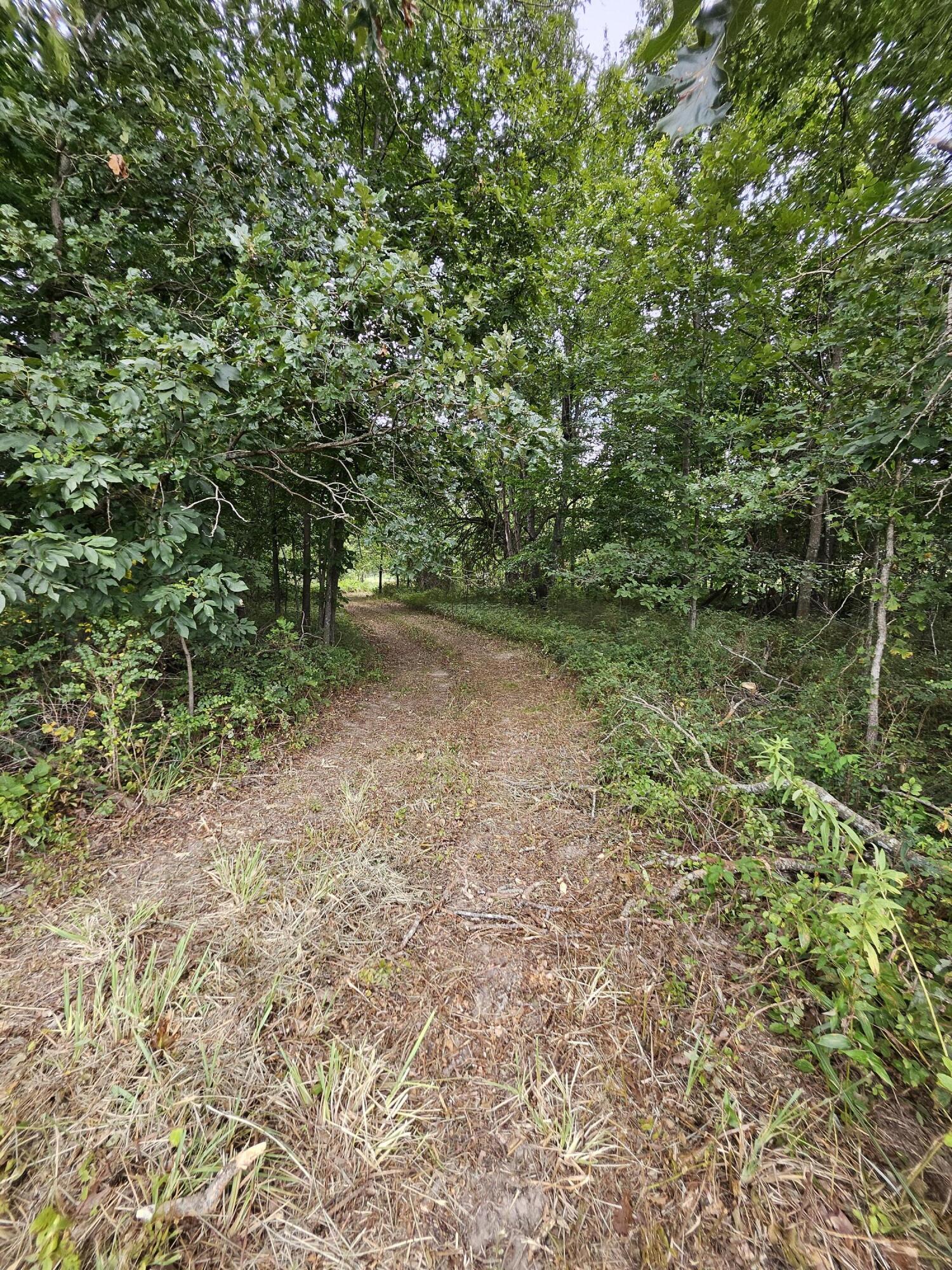 Photo 9 - Land for sale – 000  Settlers Trail Road  Marshfield, MO