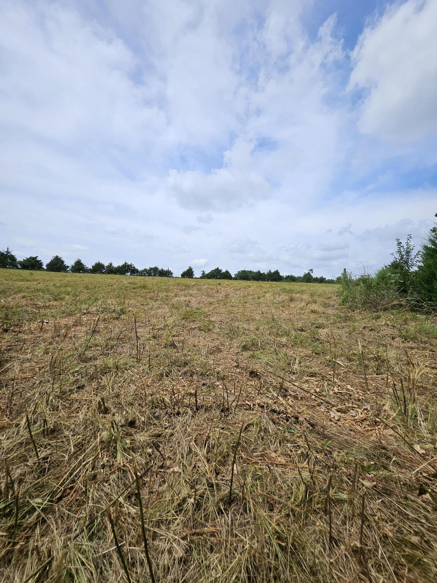 Photo 6 - Land for sale – 000  Settlers Trail Road  Marshfield, MO