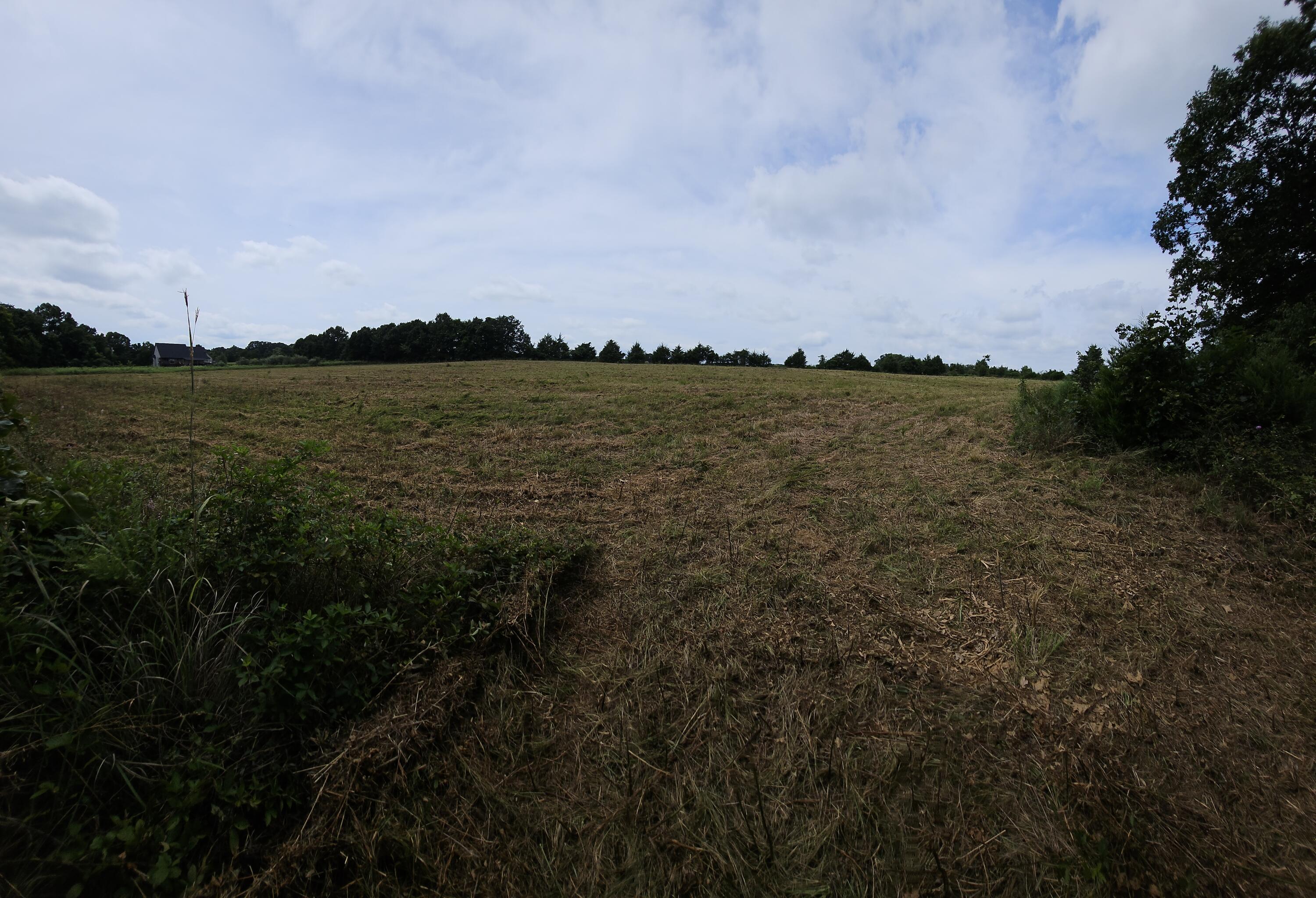 Photo 8 - Land for sale – 000  Settlers Trail Road  Marshfield, MO
