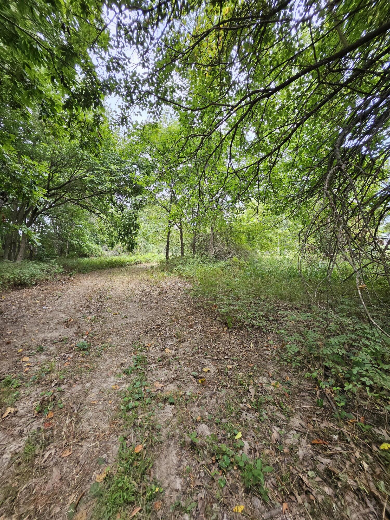 Photo 12 - Land for sale – 000  Settlers Trail Road  Marshfield, MO