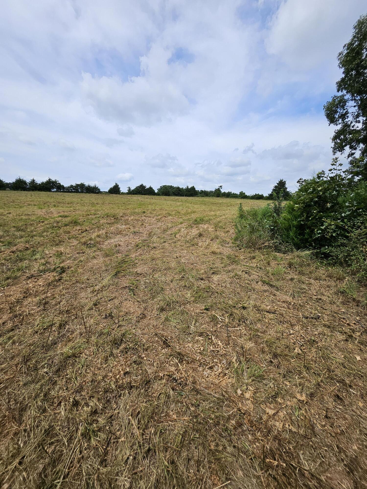 Photo 7 - Land for sale – 000  Settlers Trail Road  Marshfield, MO