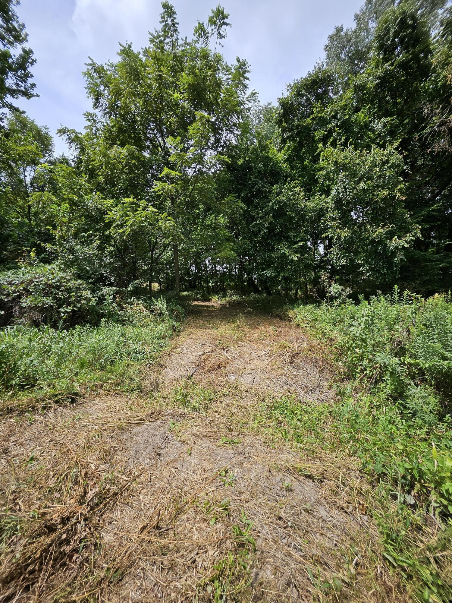 Photo 2 - Land for sale – 000  Settlers Trail Road  Marshfield, MO