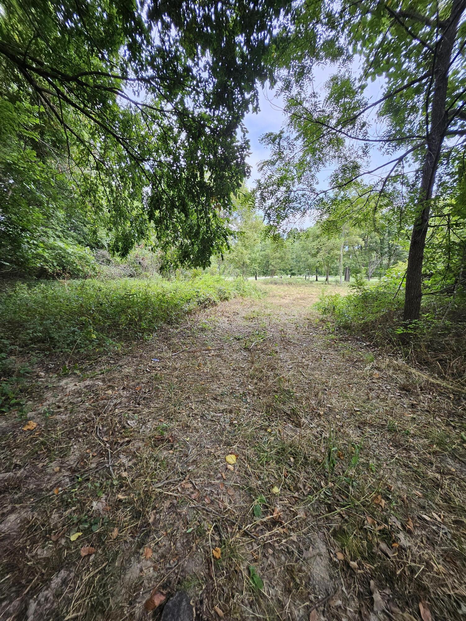 Photo 13 - Land for sale – 000  Settlers Trail Road  Marshfield, MO