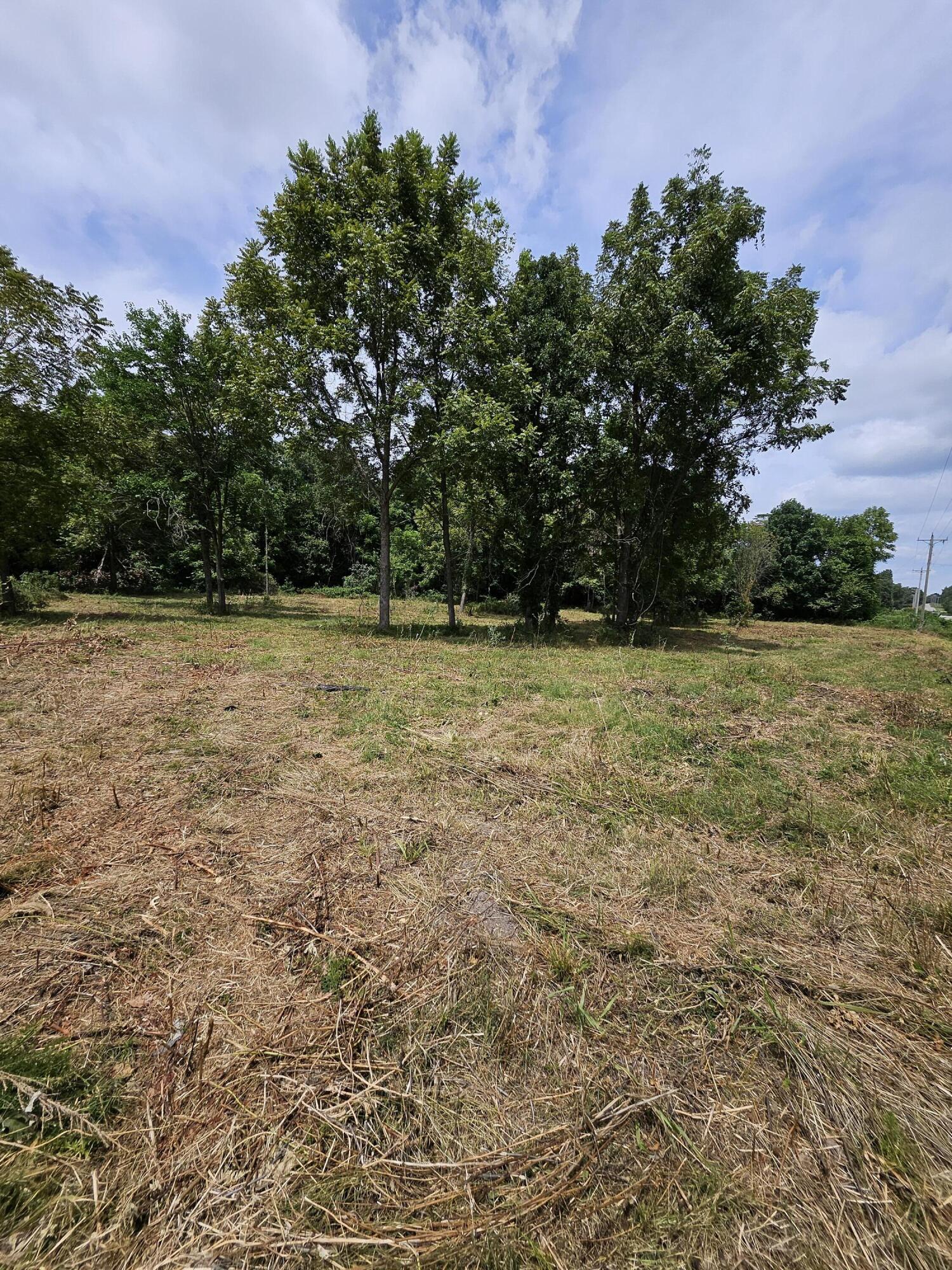 Photo 4 - Land for sale – 000  Settlers Trail Road  Marshfield, MO