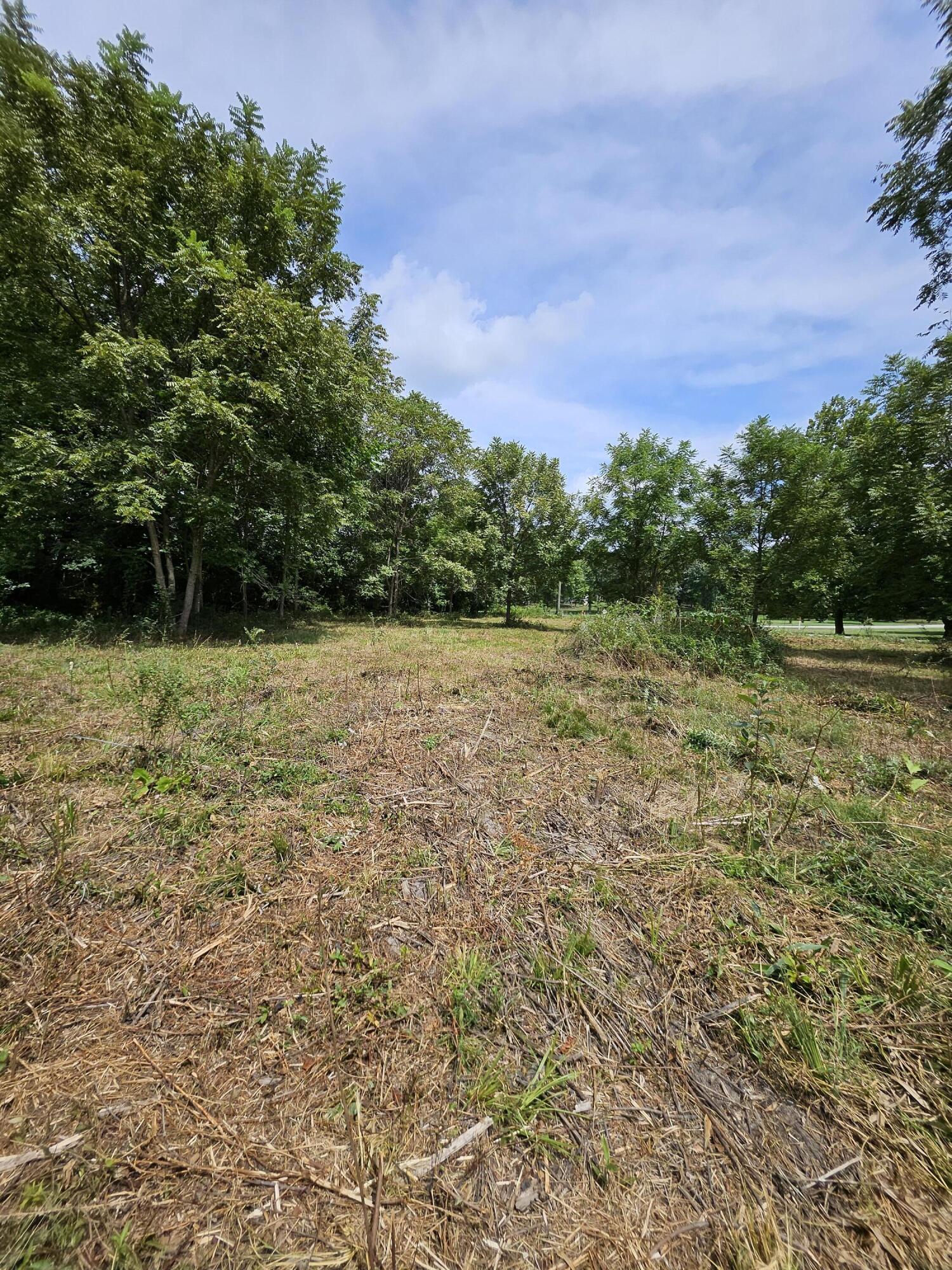 Photo 3 - Land for sale – 000  Settlers Trail Road  Marshfield, MO