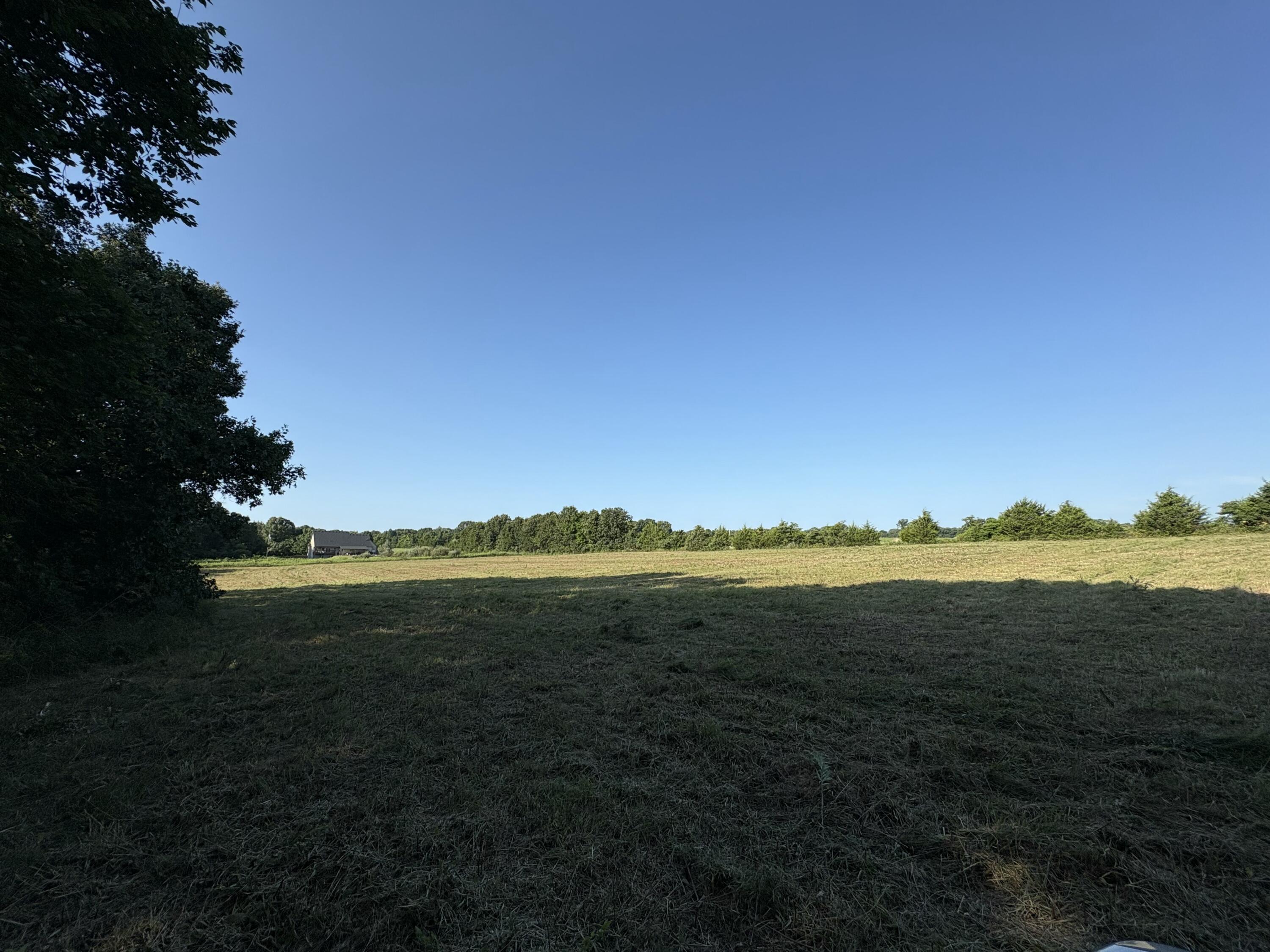 Photo 16 - Land for sale – 000  Settlers Trail Road  Marshfield, MO