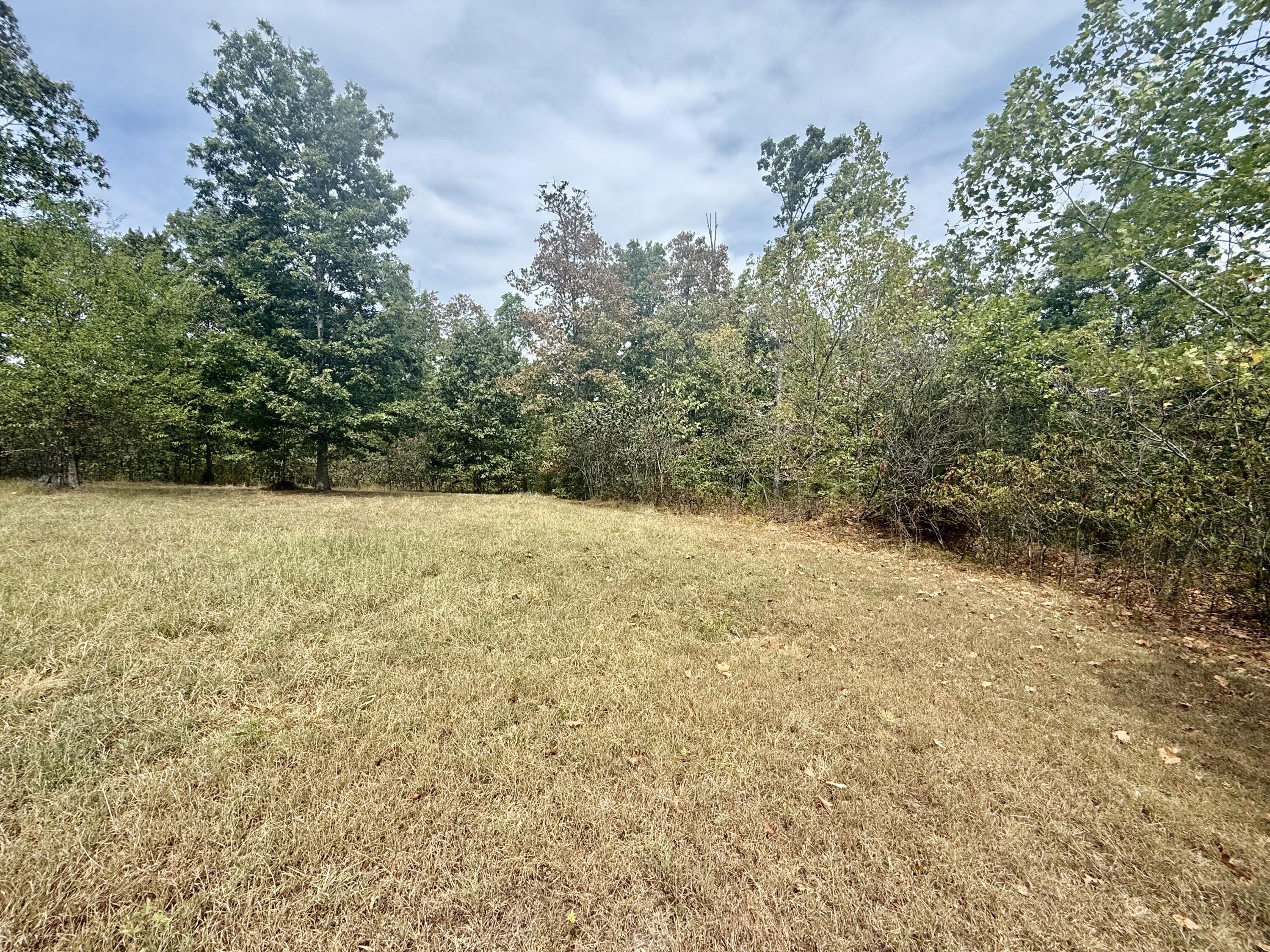 Photo 40 - Residential for sale – 8083  Illinois Road  Houston, MO