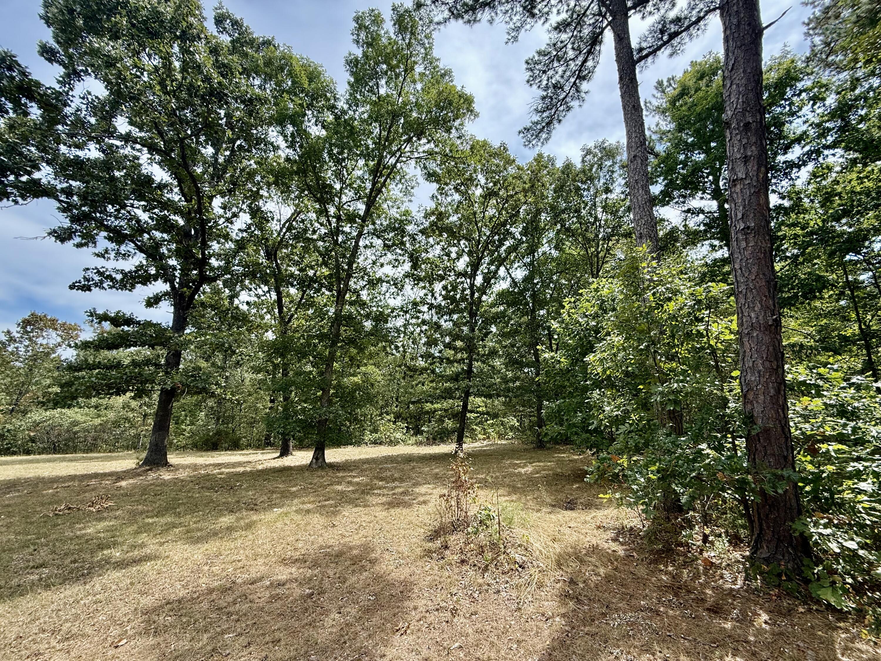 Photo 44 - Residential for sale – 8083  Illinois Road  Houston, MO