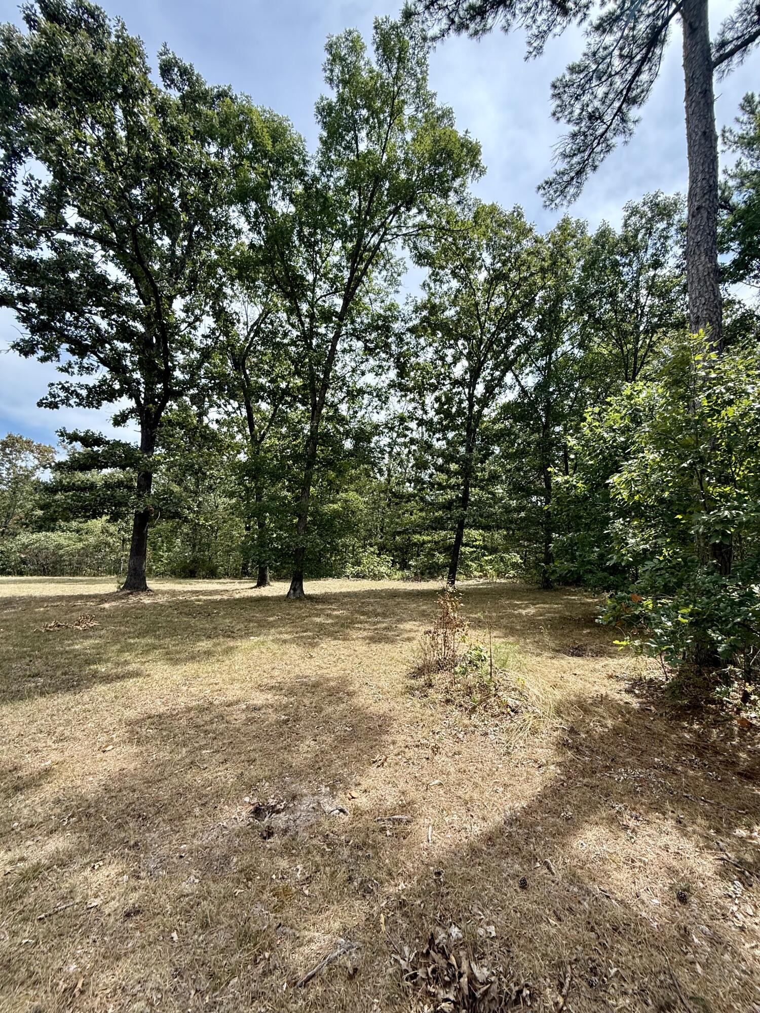 Photo 42 - Residential for sale – 8083  Illinois Road  Houston, MO