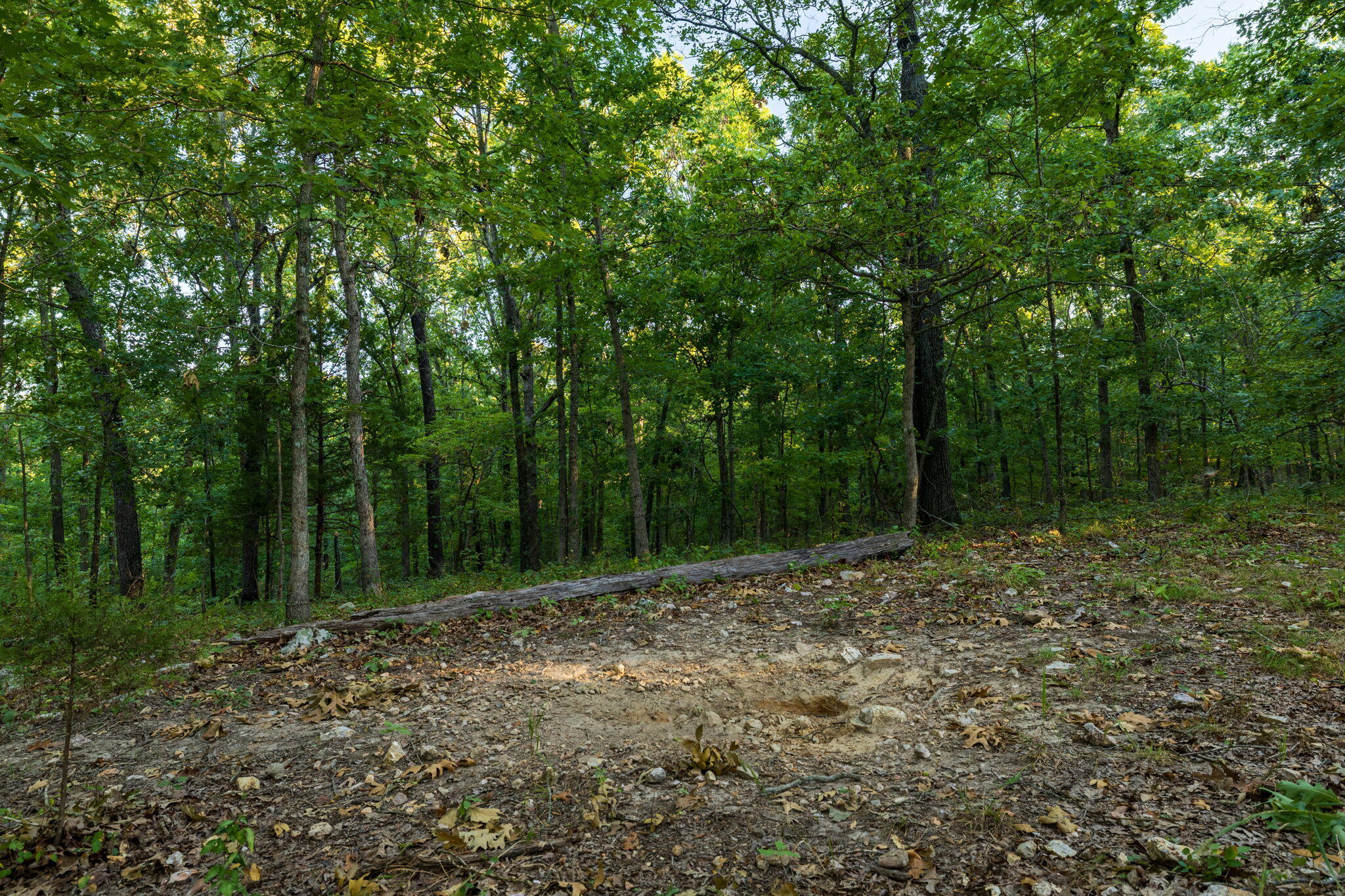 Photo 86 - Residential for sale – 1350  County Road 317   Squires, MO