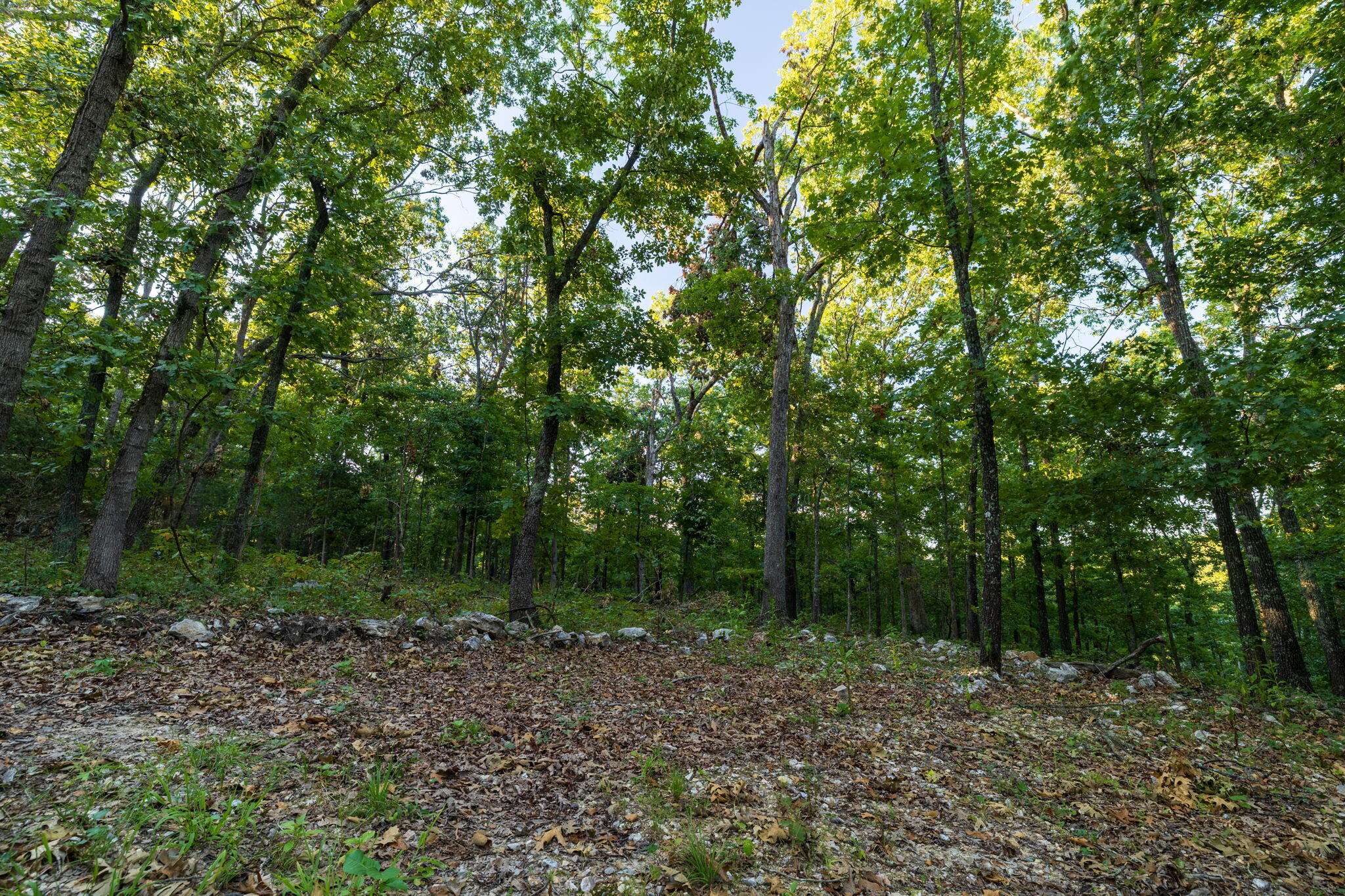 Photo 87 - Residential for sale – 1350  County Road 317   Squires, MO