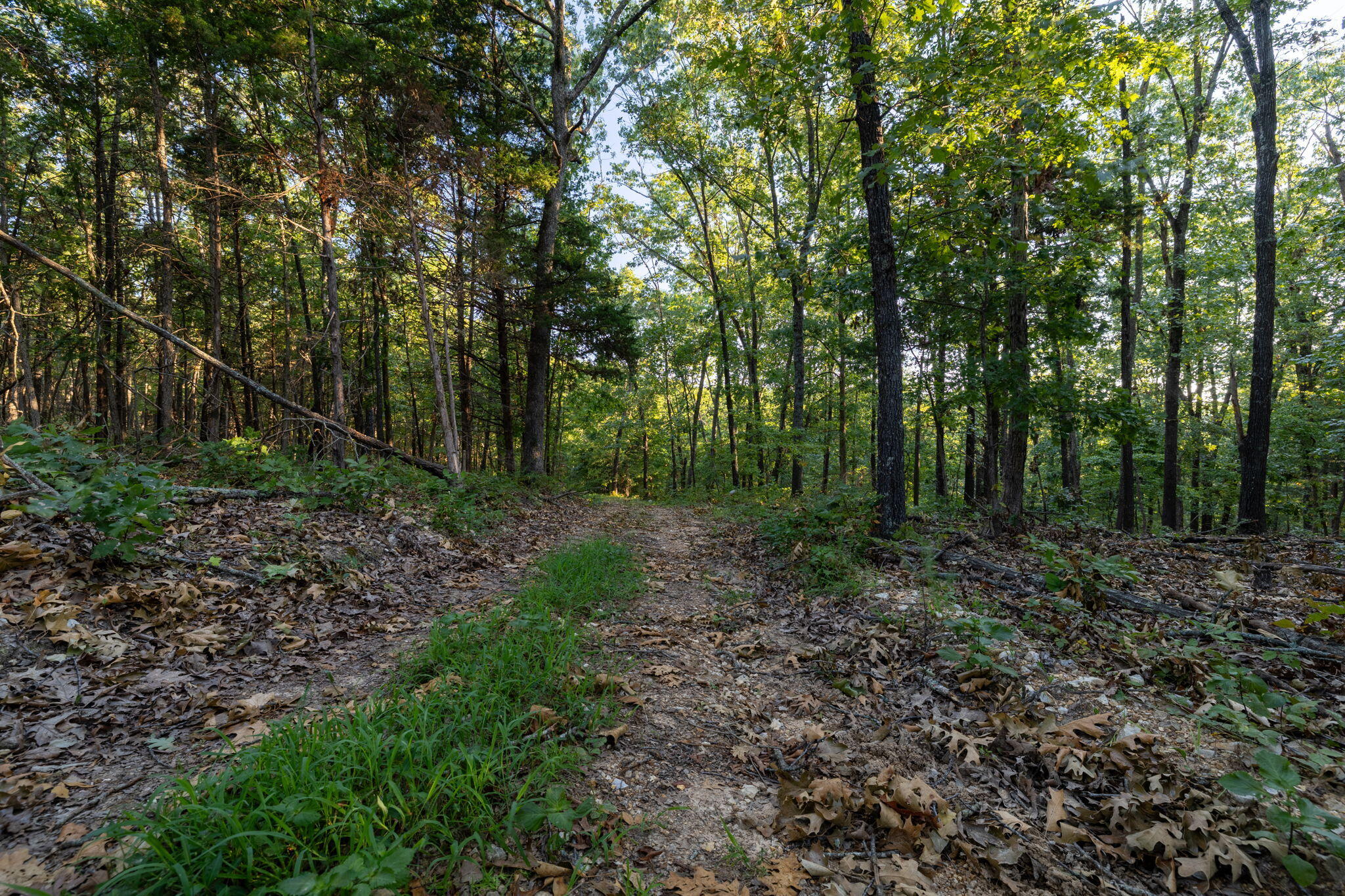 Photo 81 - Residential for sale – 1350  County Road 317   Squires, MO