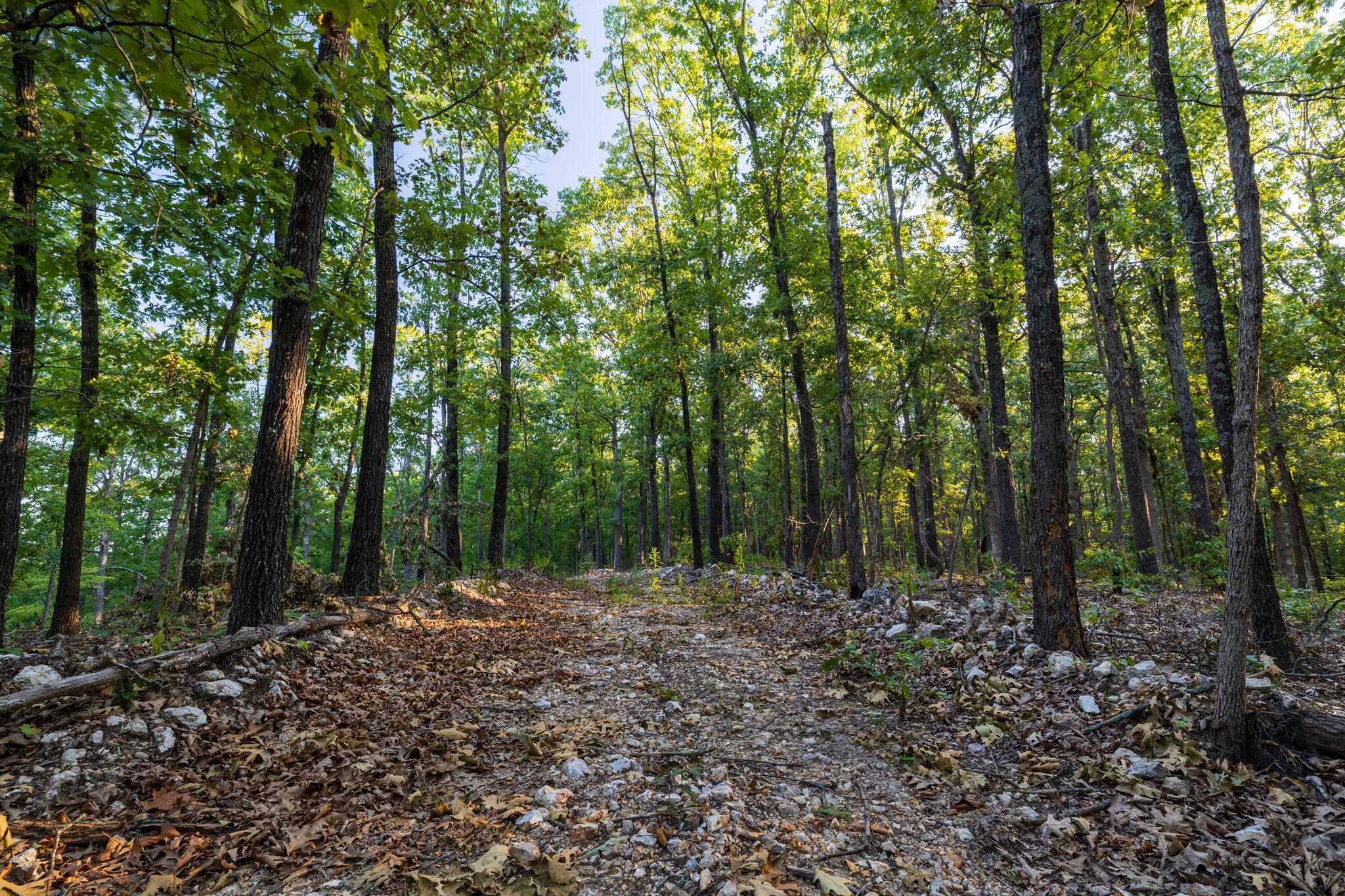 Photo 101 - Residential for sale – 1350  County Road 317   Squires, MO