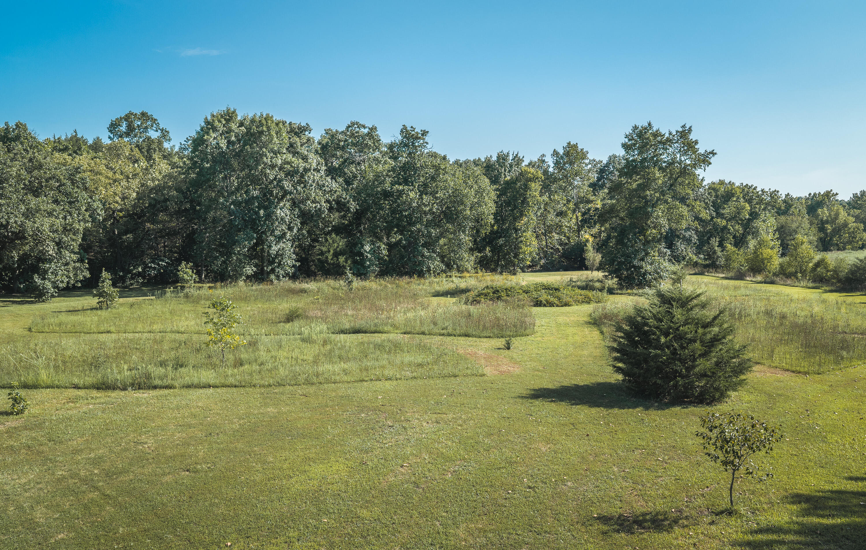Photo 73 - Farm for sale – 81  Meadowlark Road  Brumley, MO