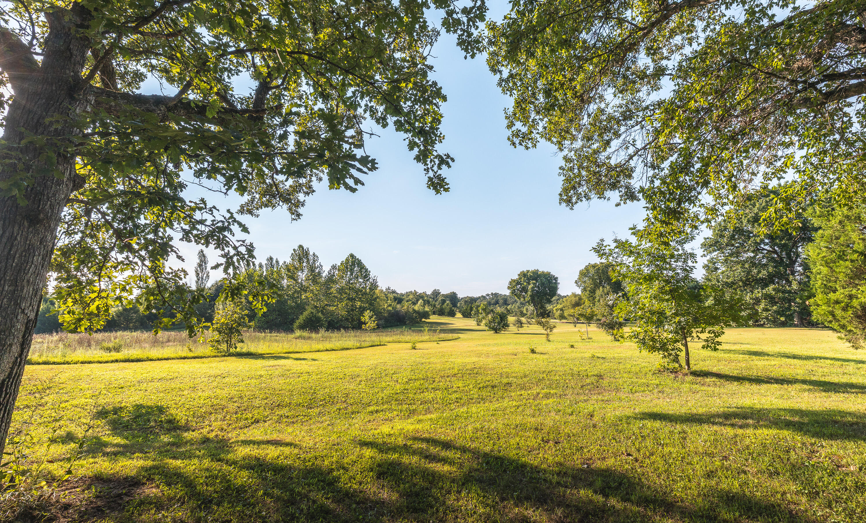Photo 66 - Farm for sale – 81  Meadowlark Road  Brumley, MO