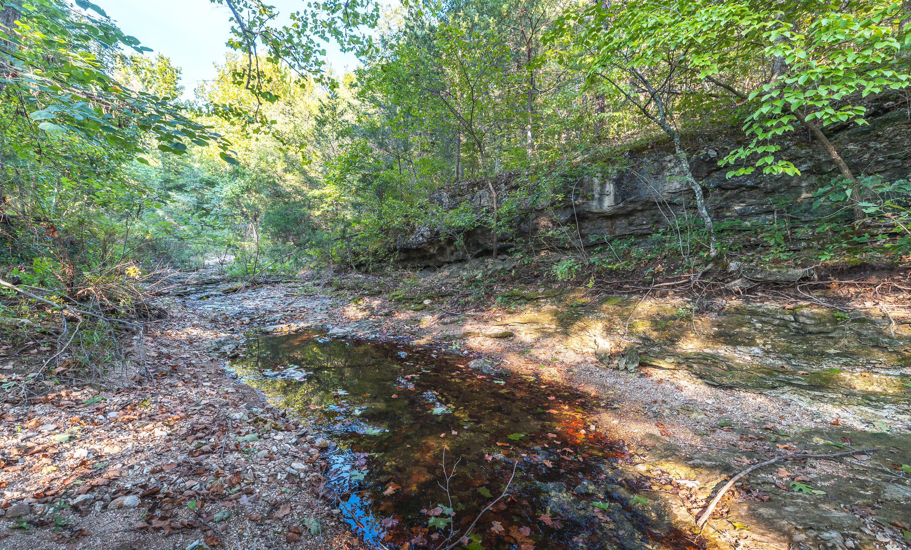 Photo 8 - Farm for sale – 81  Meadowlark Road  Brumley, MO