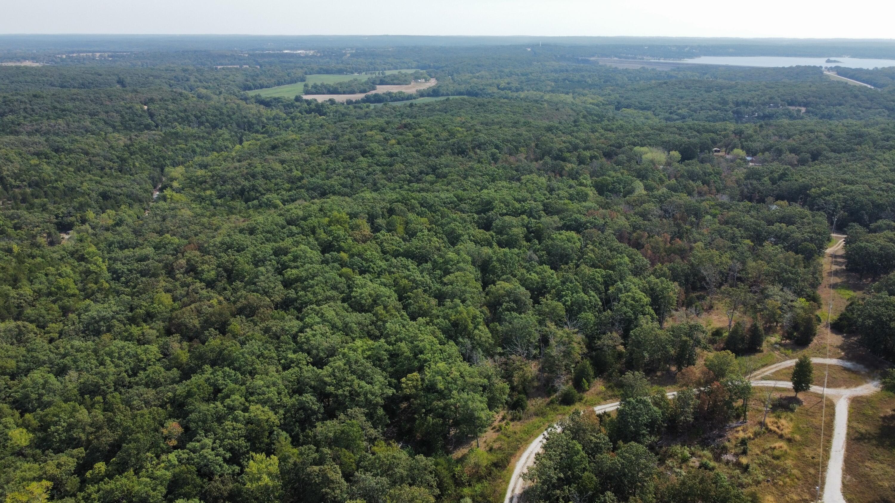Photo 7 - Land for sale – 21721  Canyon Drive  Wheatland, MO