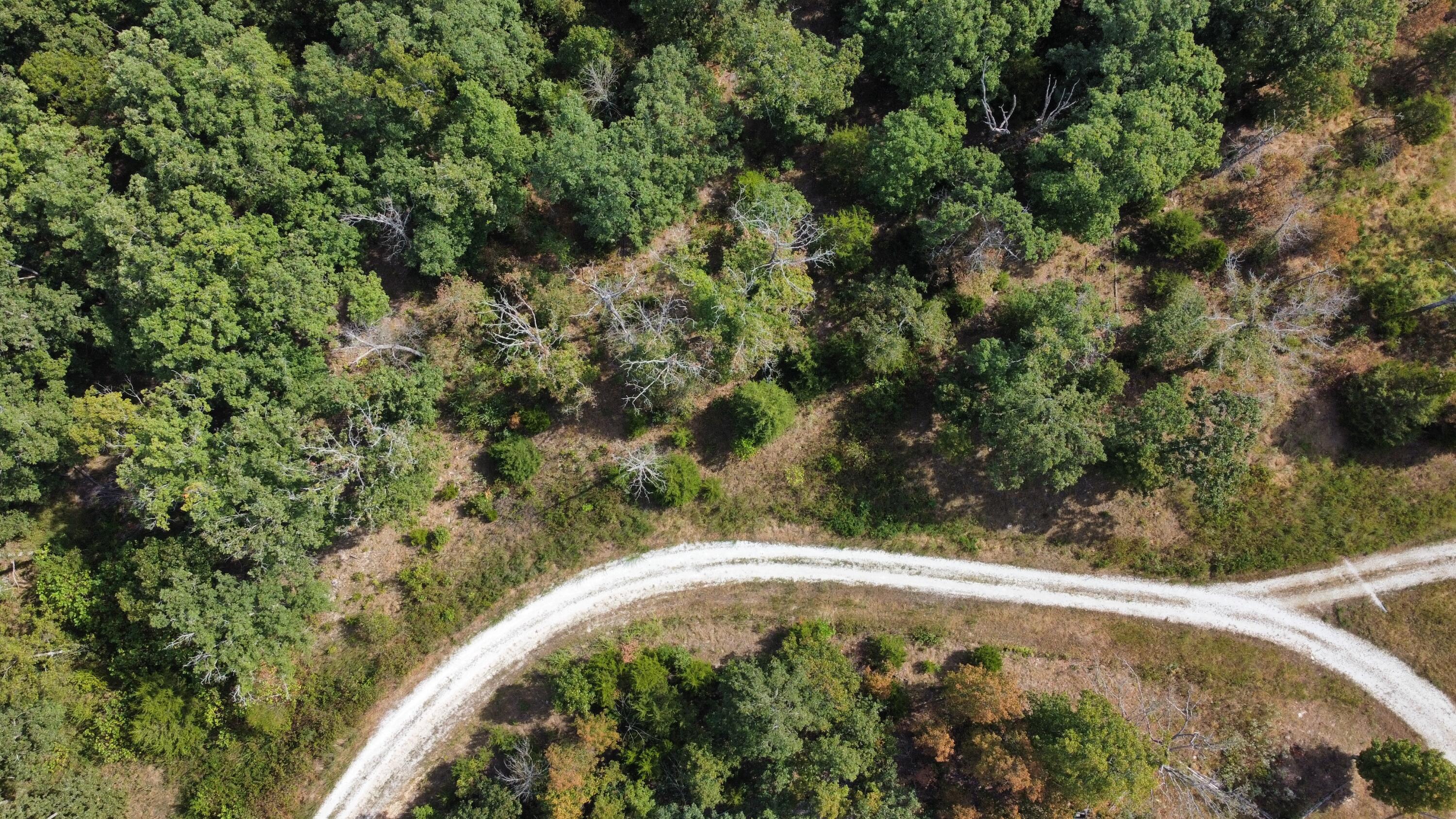 Photo 3 - Land for sale – 21721  Canyon Drive  Wheatland, MO