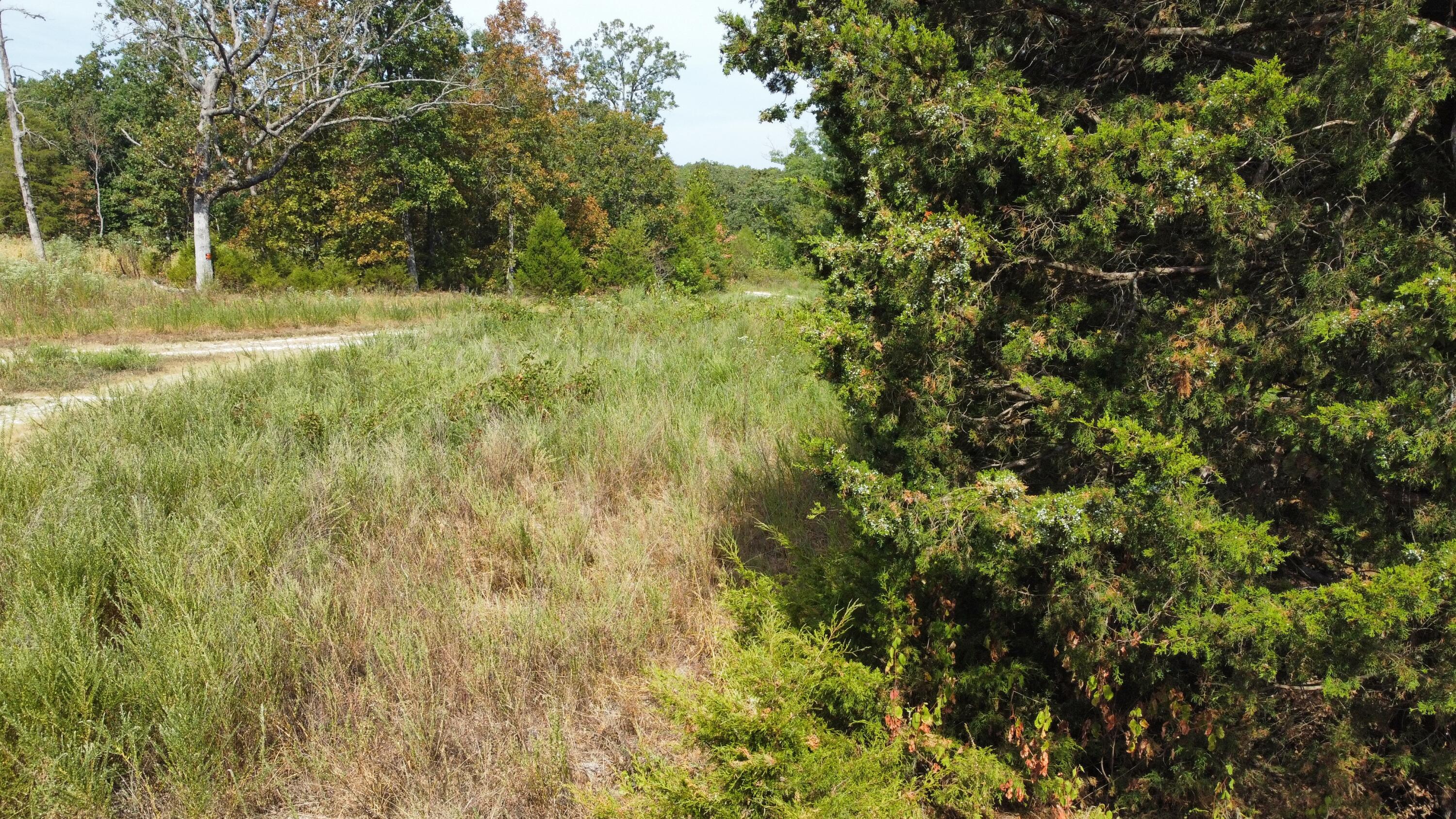 Photo 13 - Land for sale – 21721  Canyon Drive  Wheatland, MO