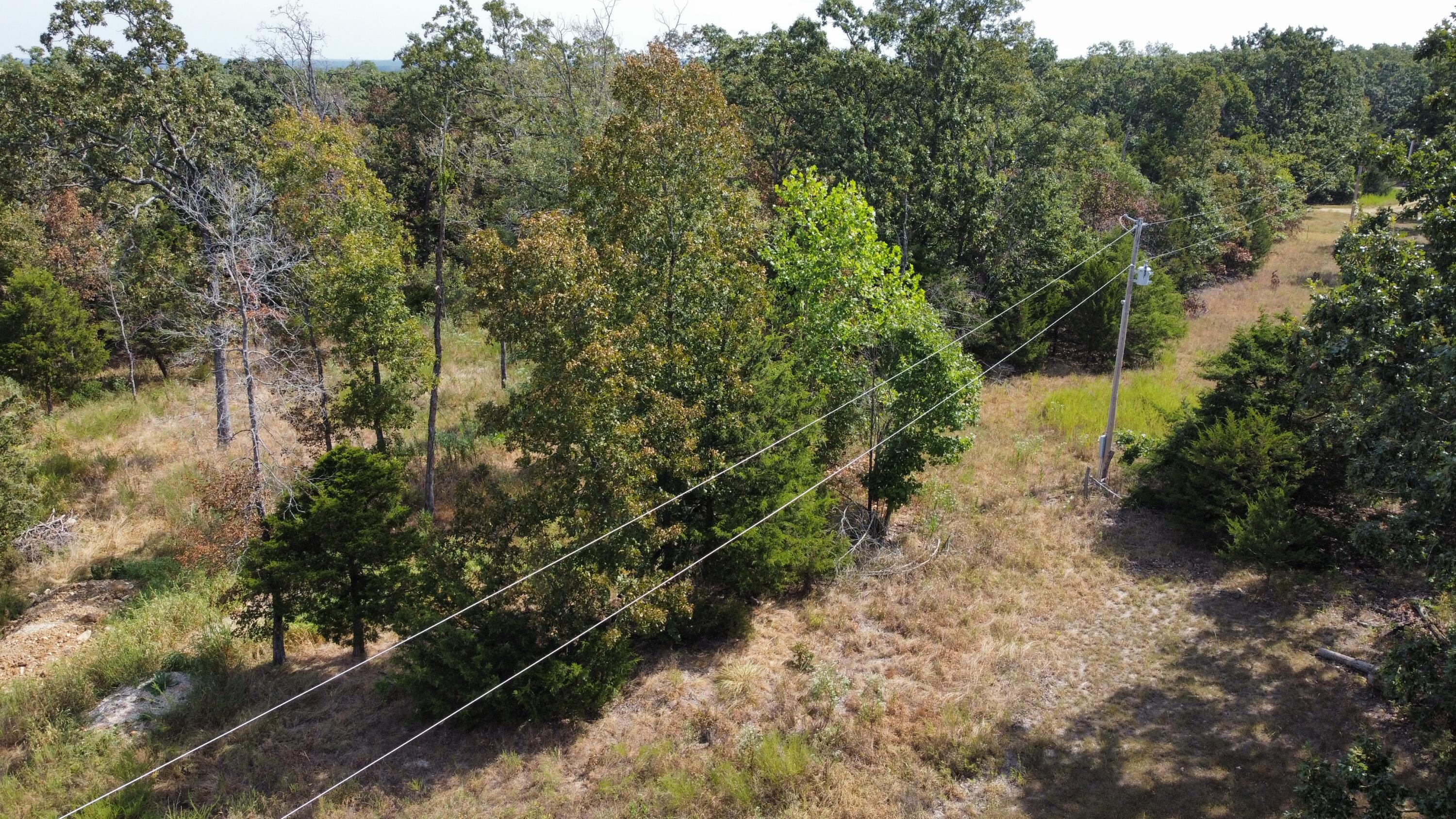 Photo 18 - Land for sale – 21721  Canyon Drive  Wheatland, MO